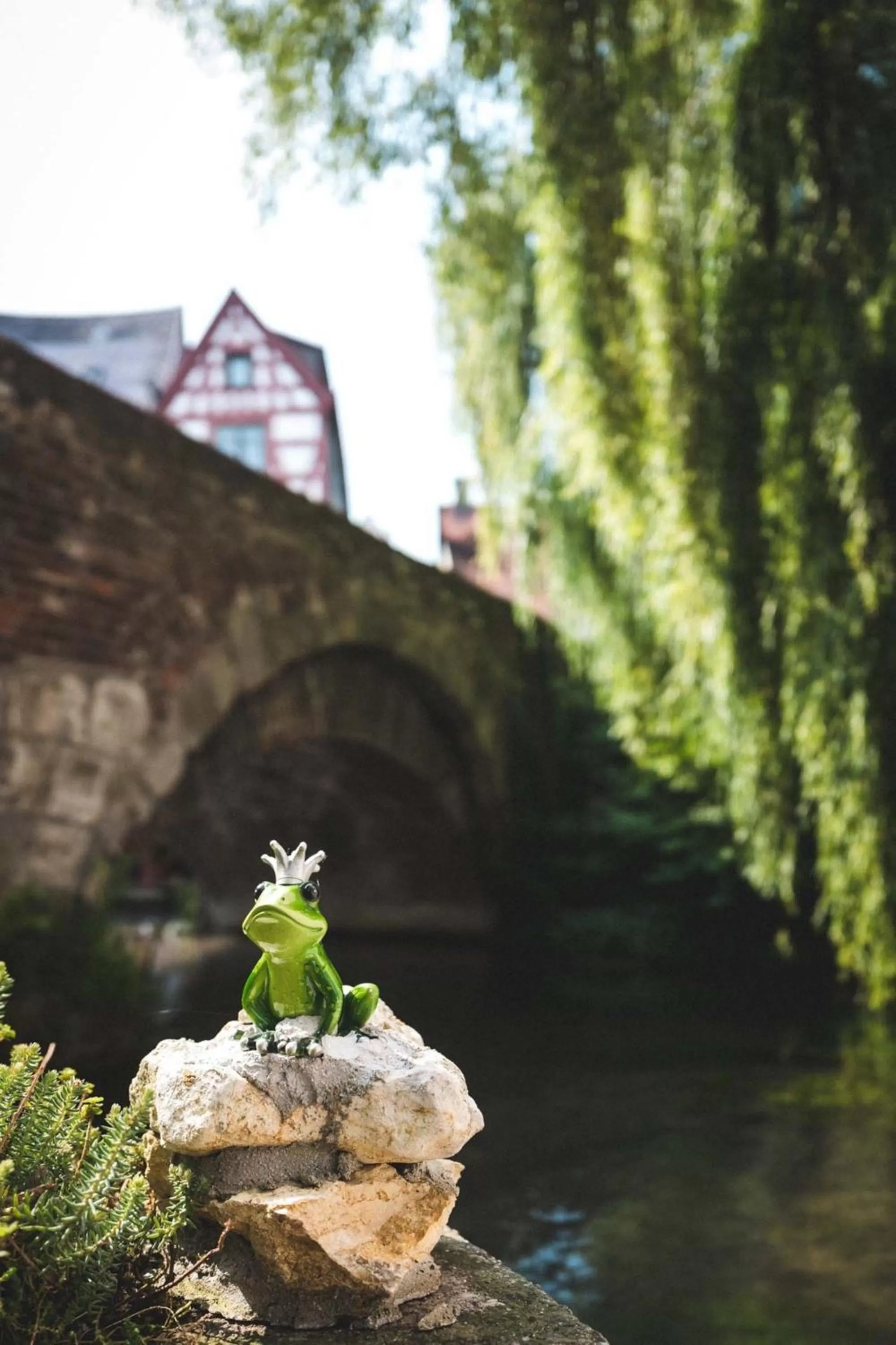 Natural landscape in Ulmer Münster Hotel