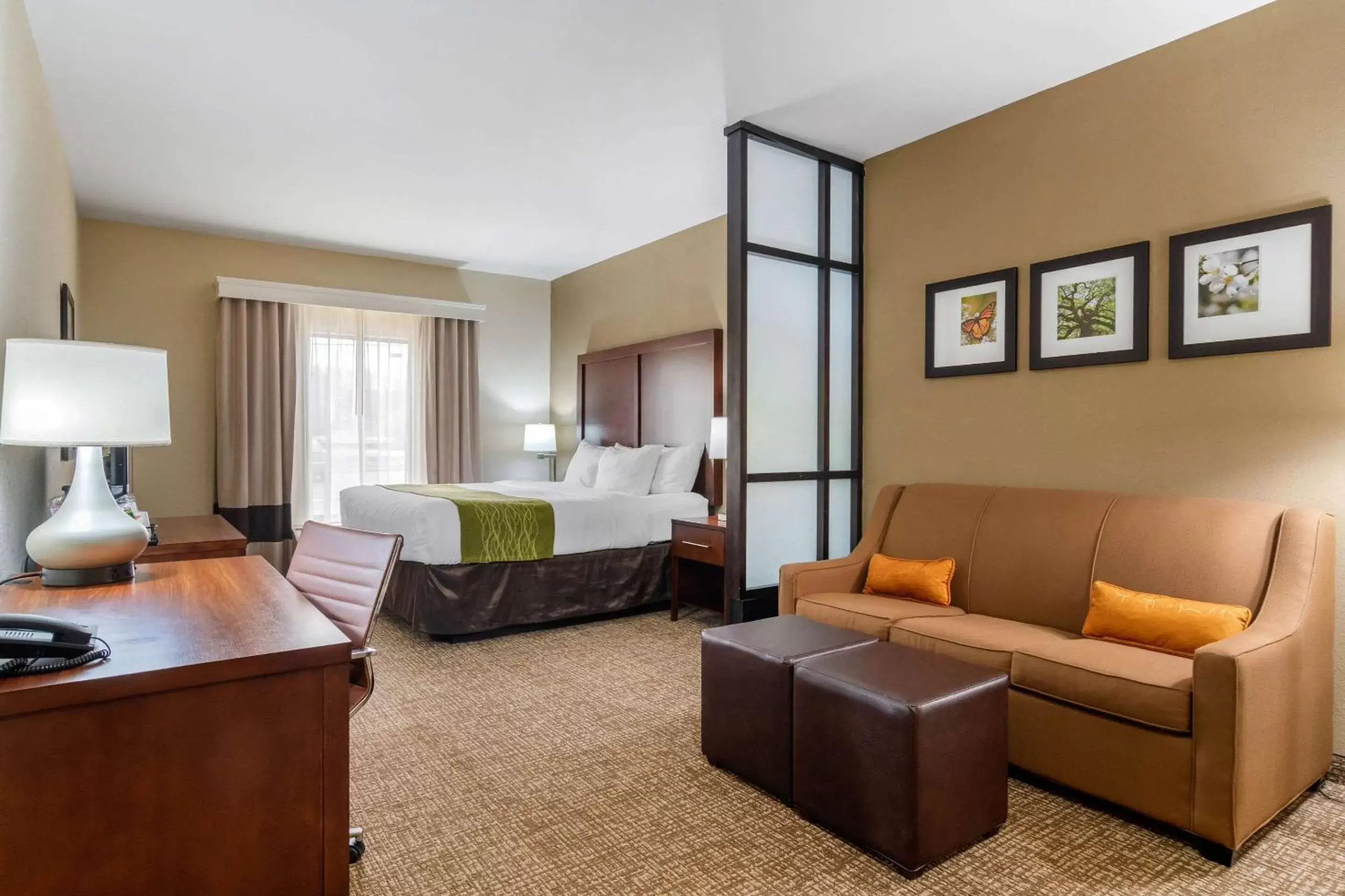 Photo of the whole room in Comfort Inn & Suites