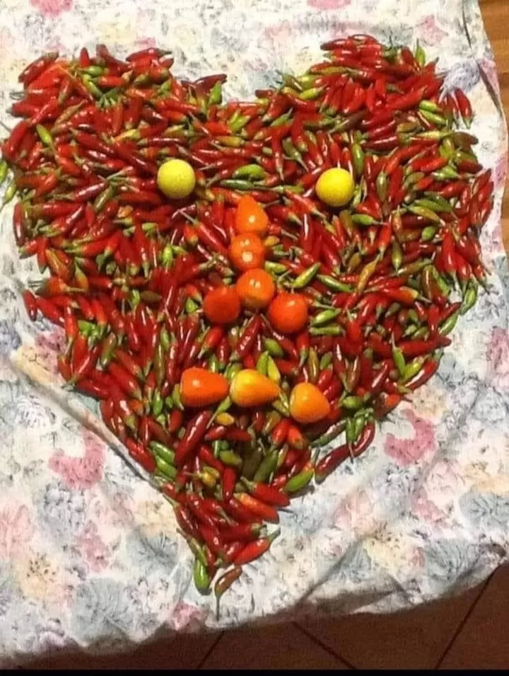 Food in B&b Calabria mare