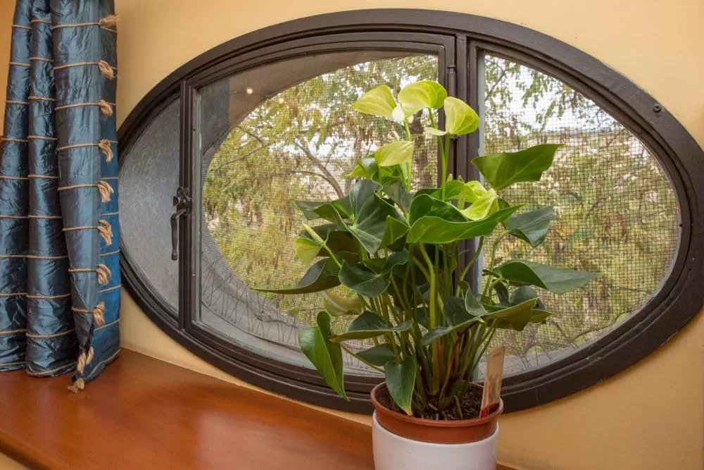 Street view in Palazzo Cosentino