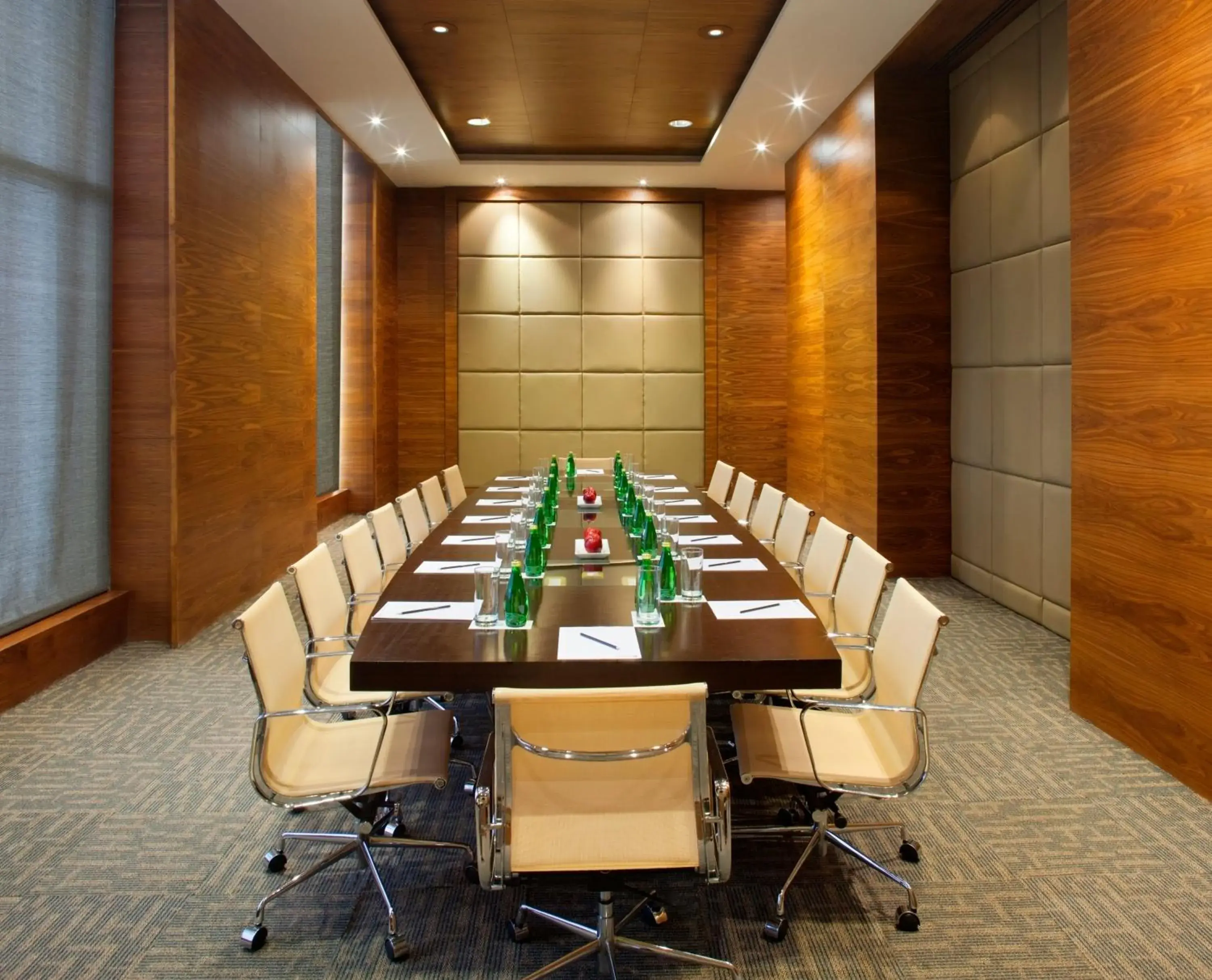 Business facilities in Radisson Blu Hotel New Delhi Dwarka