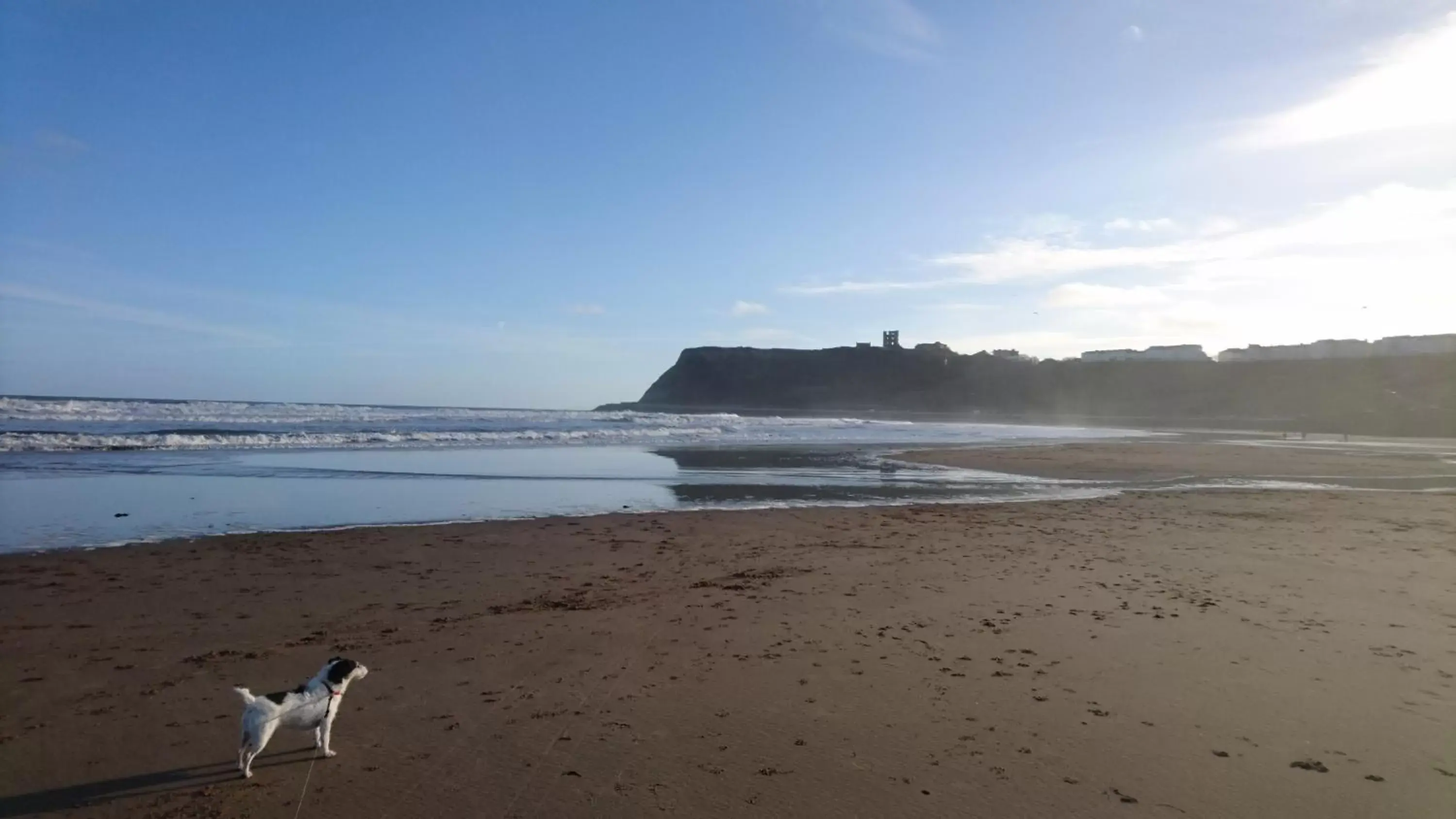 Staff, Beach in The Beaches