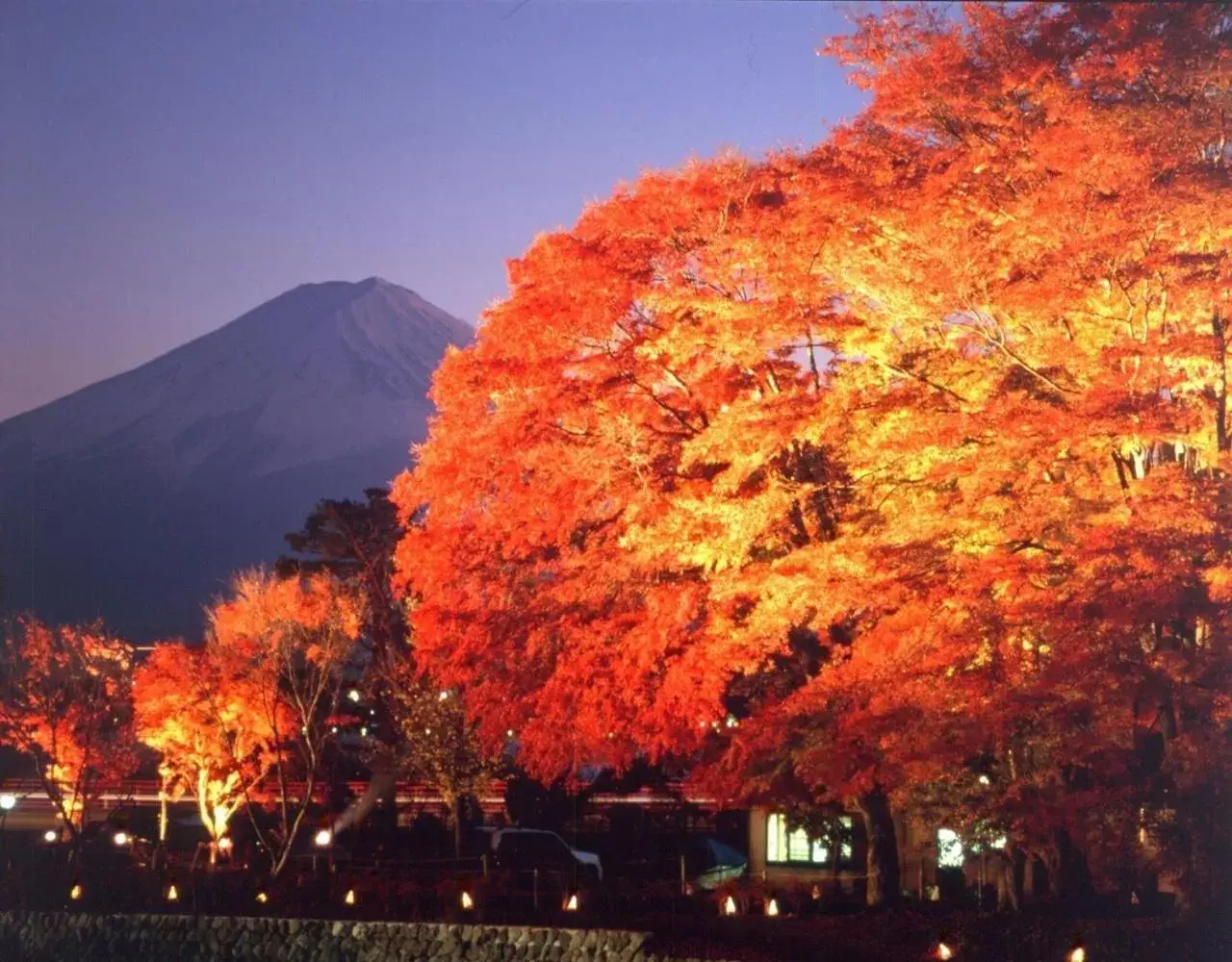 Nearby landmark in Royal Hotel Kawaguchiko