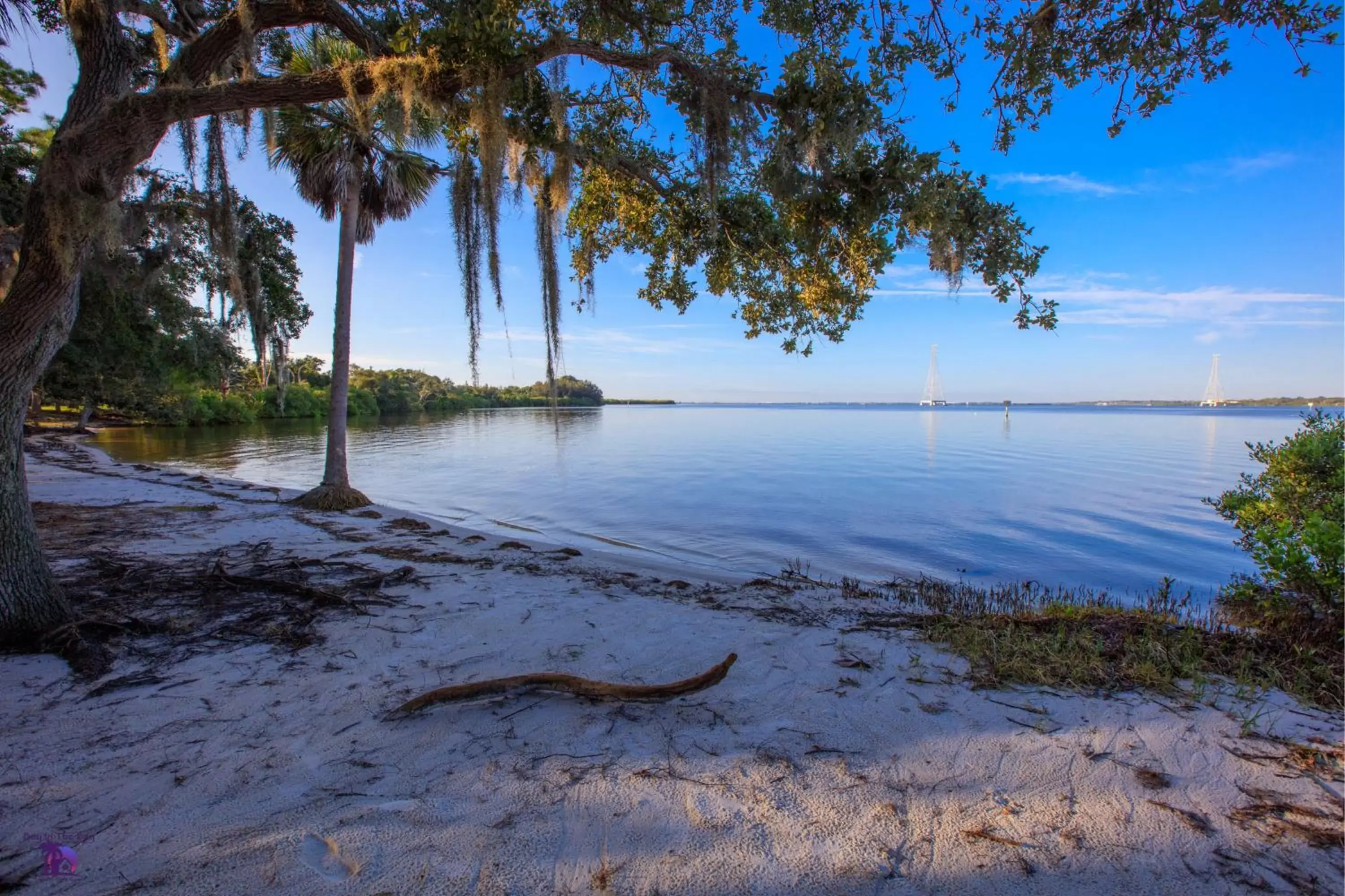 Nearby landmark, Beach in Holiday Inn Express Hotel & Suites Tampa-Oldsmar, an IHG Hotel