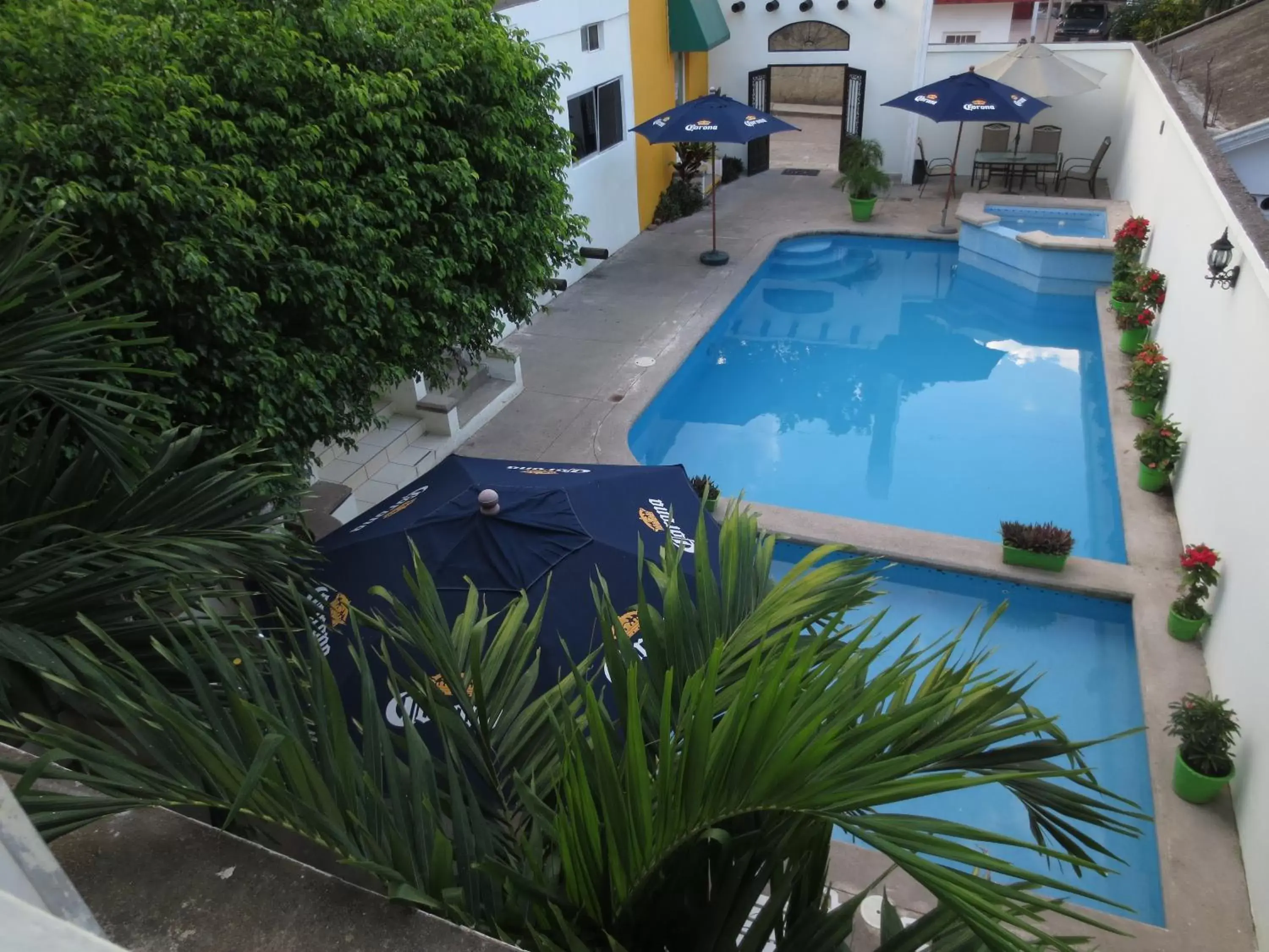 Swimming pool, Pool View in Hotel Cosmos