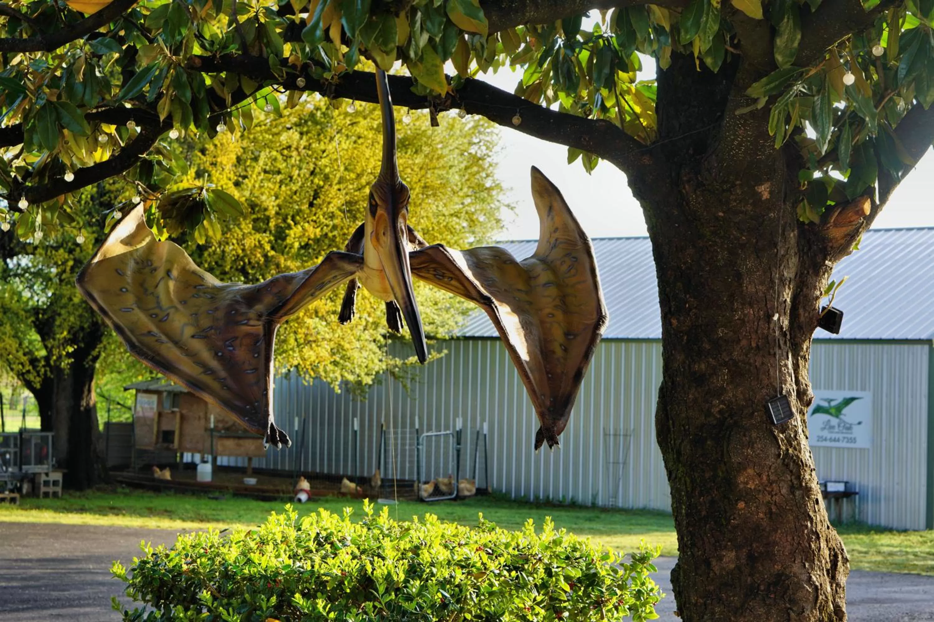 Garden in Live Oak B&B