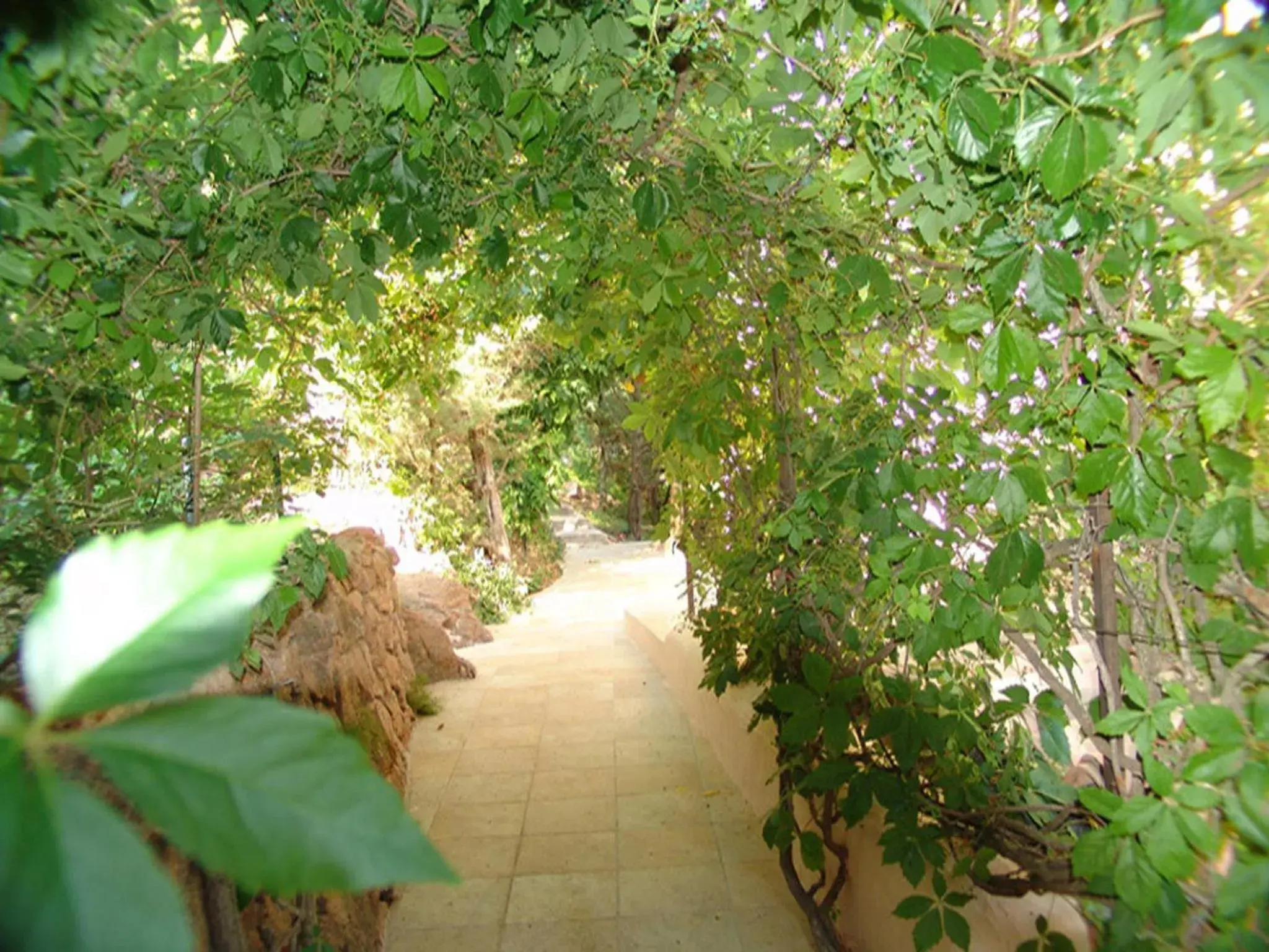 Garden in Private Hôtel - Adult Only