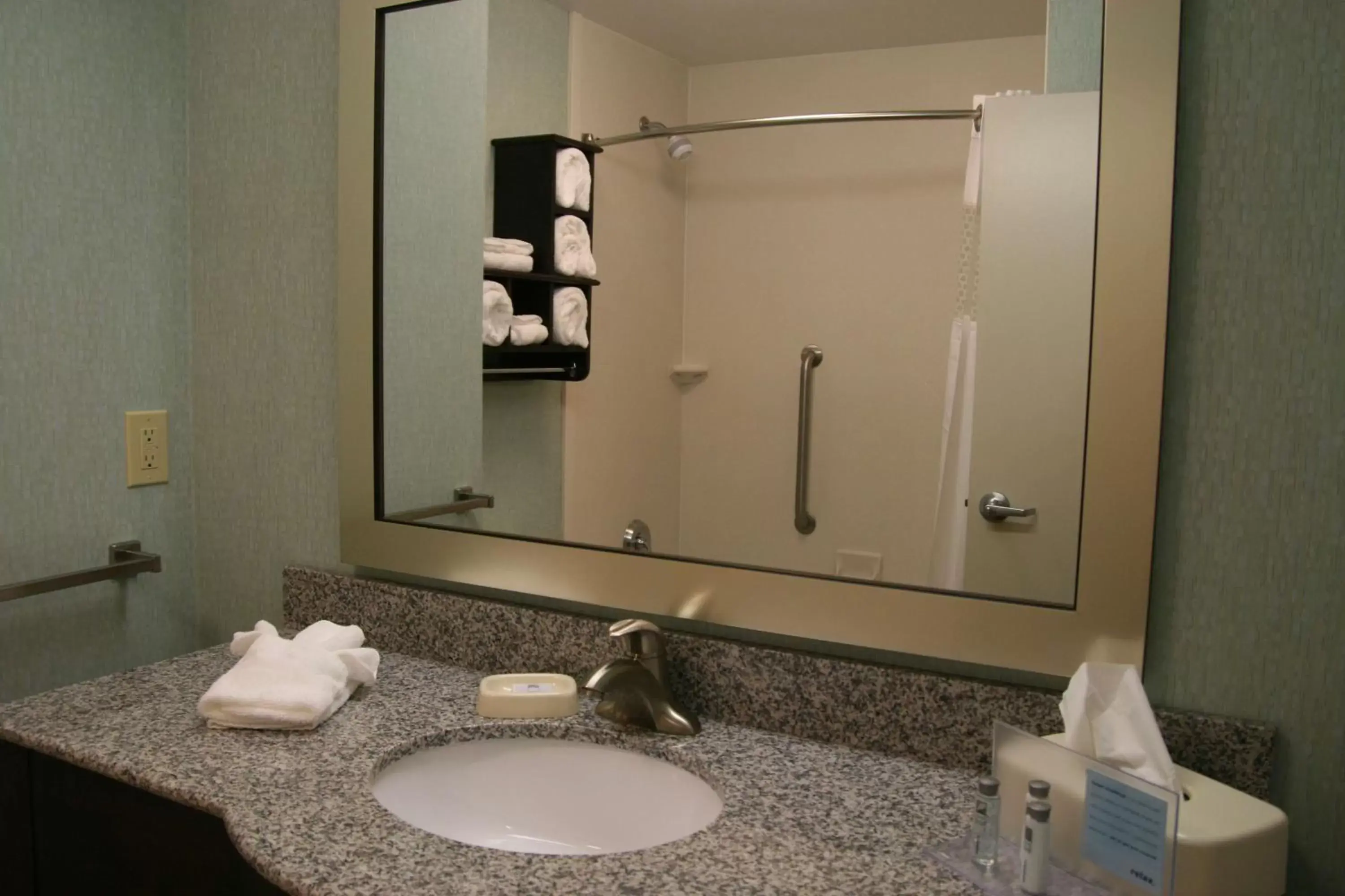 Bathroom in Hampton Inn & Suites Wilder