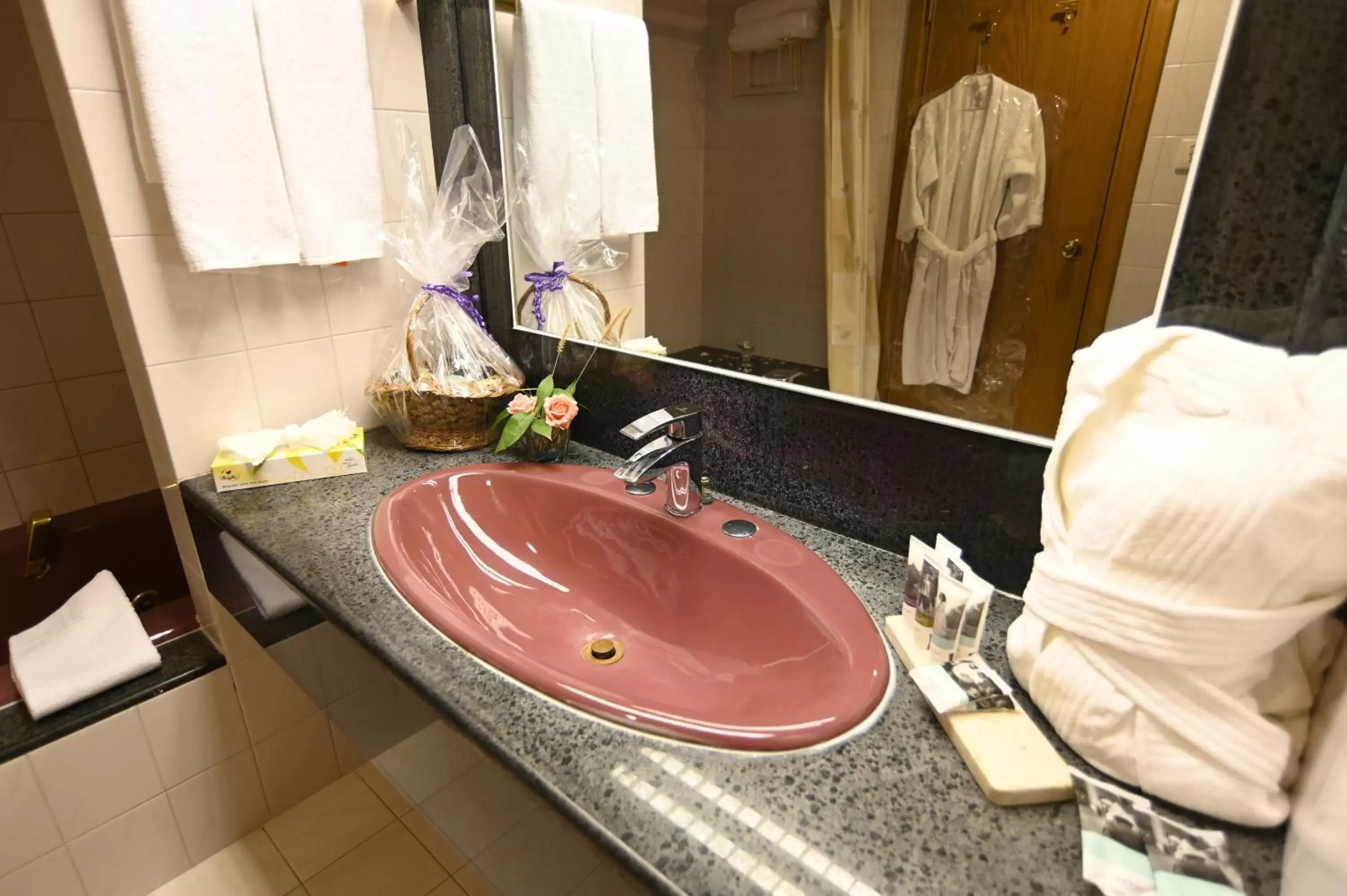 Bathroom in Hotel Mercure Alger Aéroport