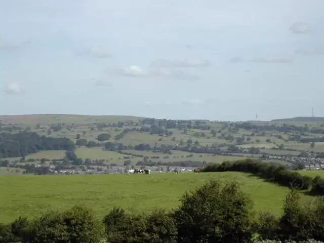 Natural Landscape in Chevin End Guest House