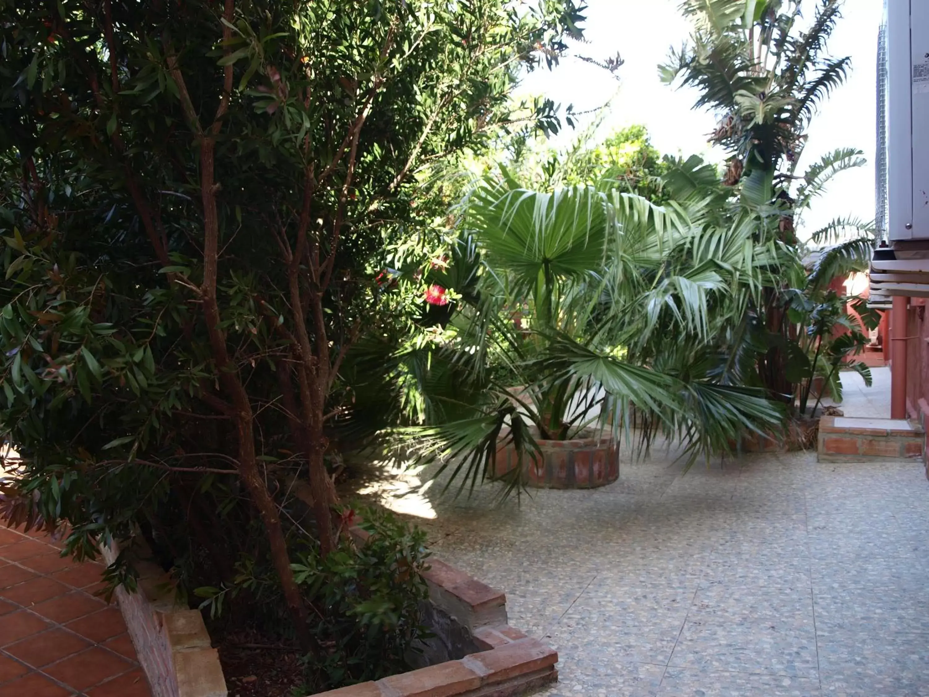 Garden in Hotel Copacabana Tarifa Beach