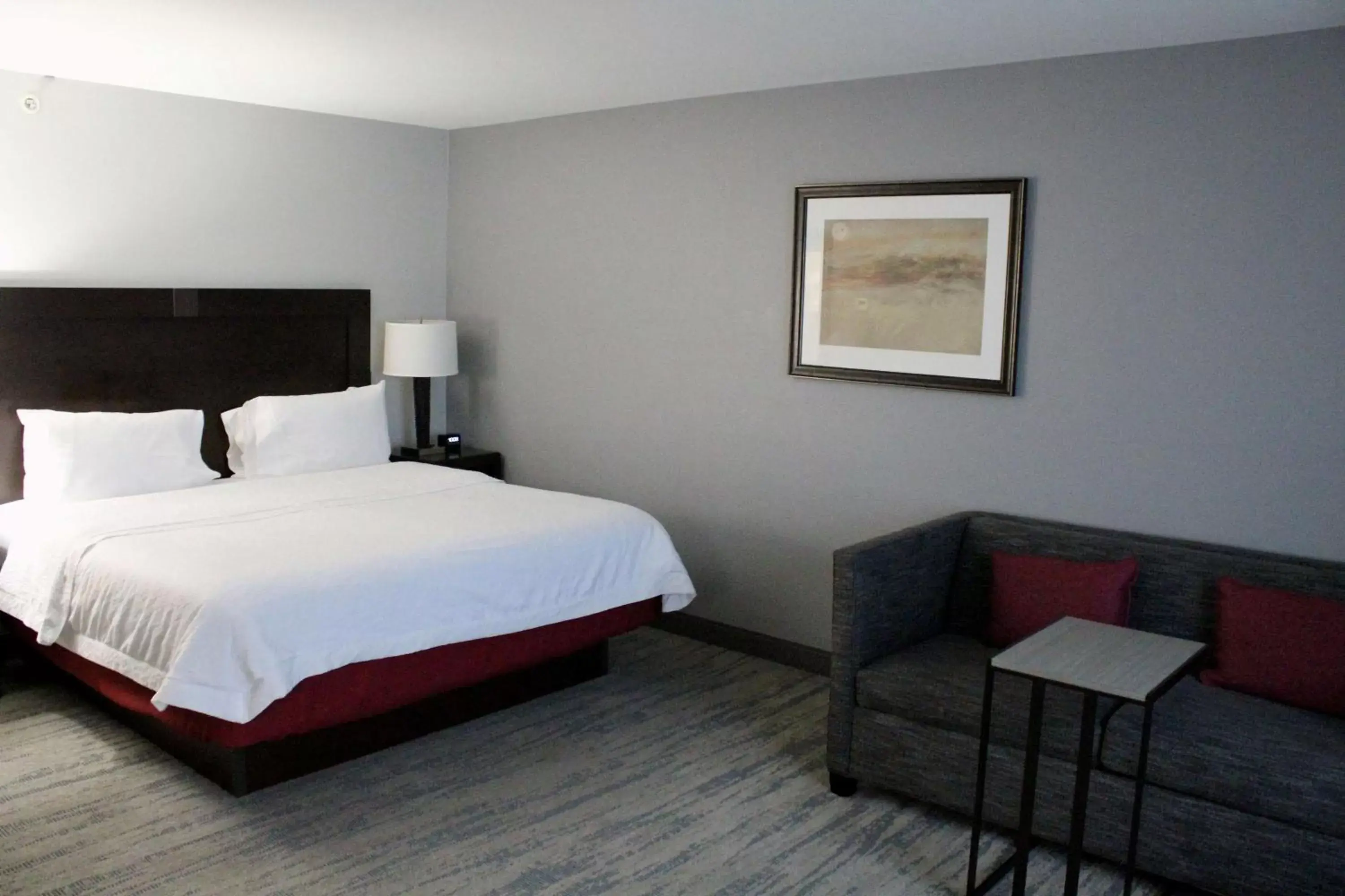 Living room, Bed in Hampton Inn Indianapolis NW/Zionsville