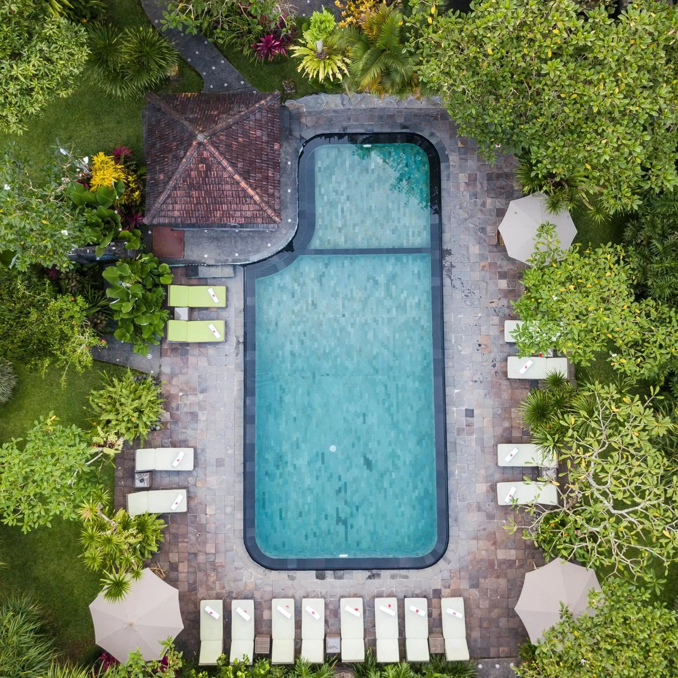 Bird's eye view, Pool View in Sri Ratih Cottages, CHSE Certified