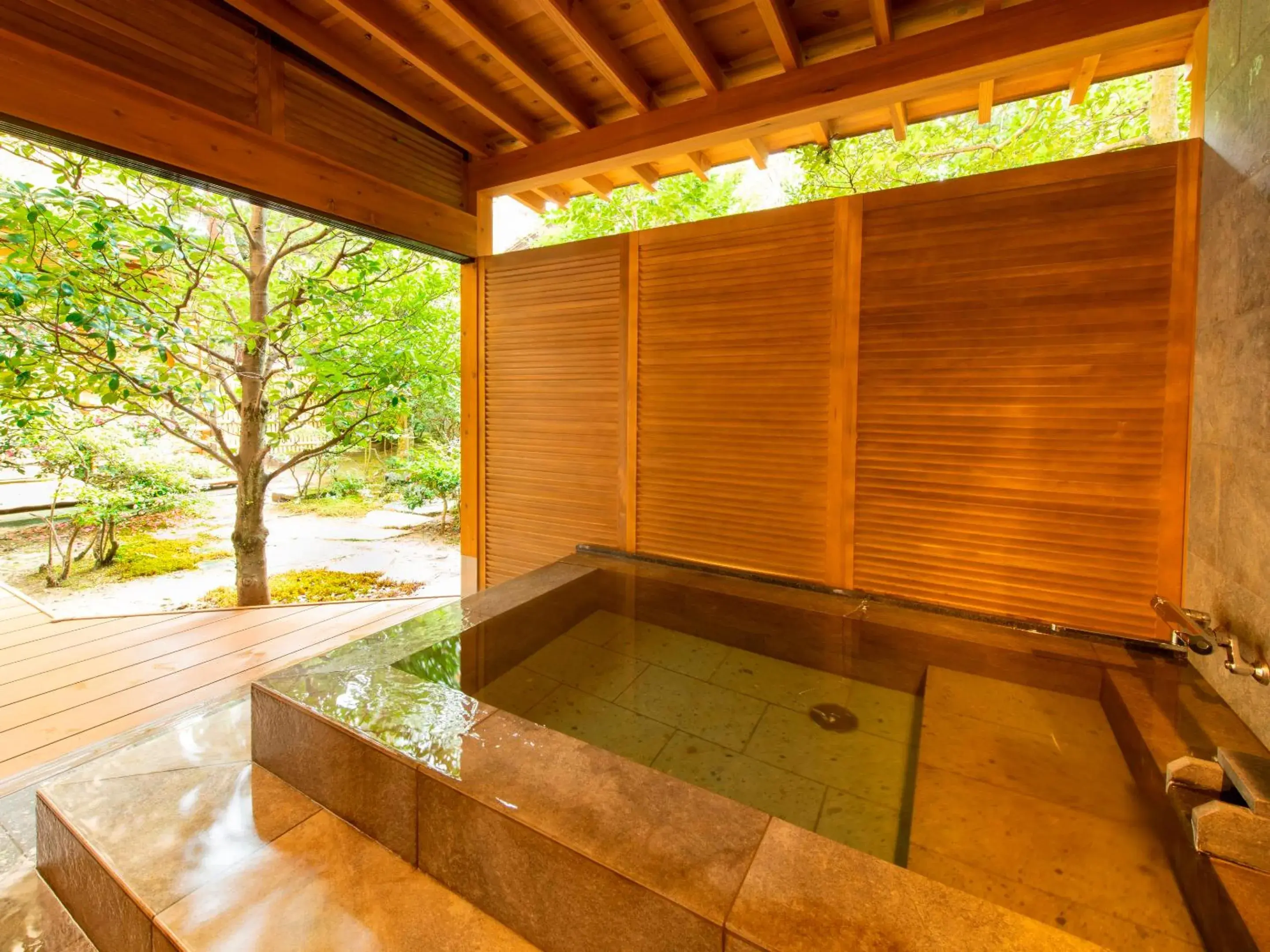 Hot Spring Bath in Hoshi