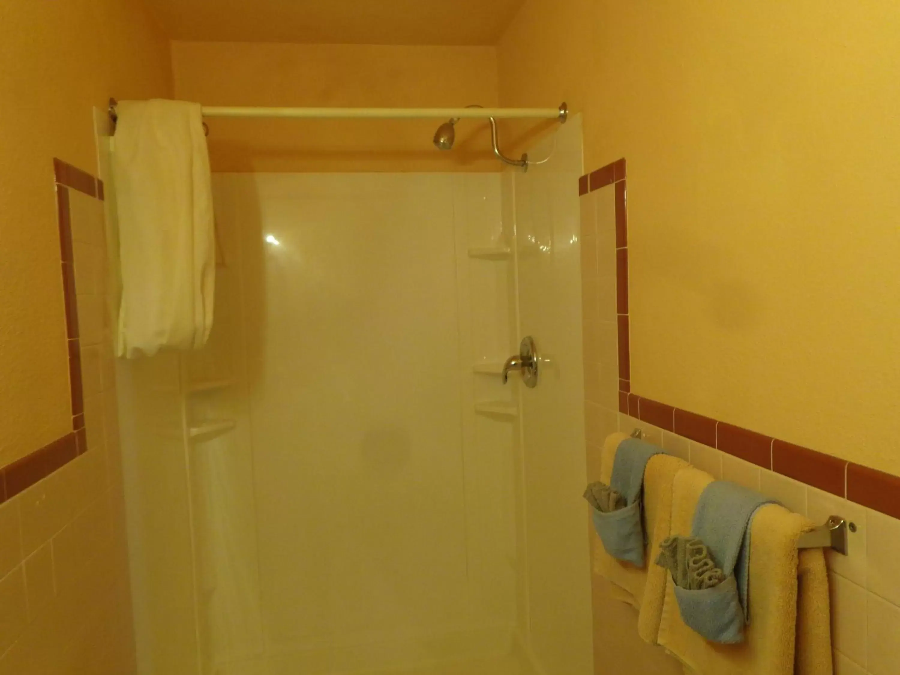Shower, Bathroom in Western Motel
