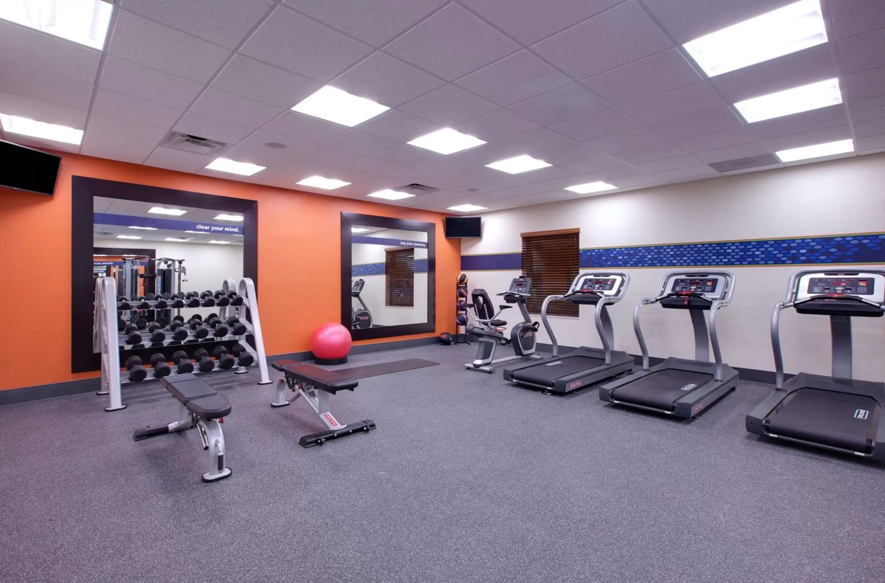 Fitness centre/facilities, Fitness Center/Facilities in Hampton Inn and Suites Snyder