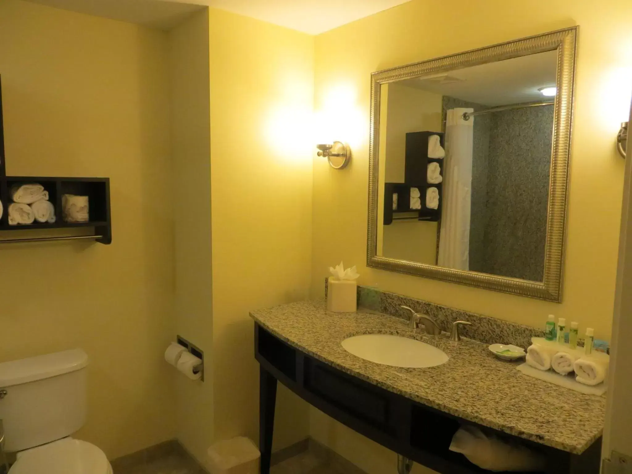 Bathroom in Holiday Inn Express and Suites Saint Augustine North, an IHG Hotel