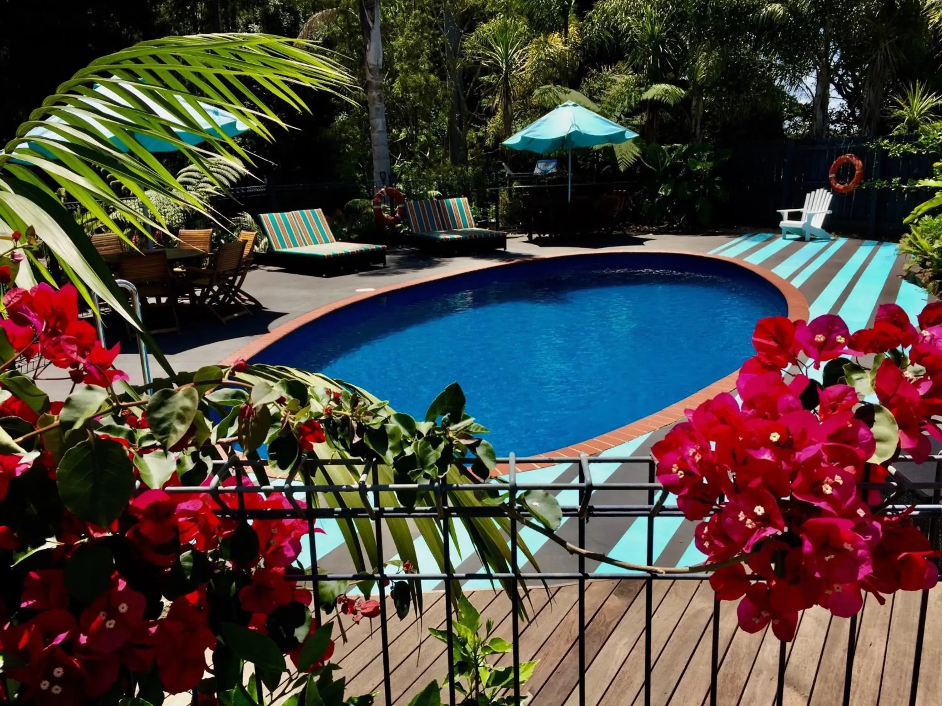 Pool View in Stay Kerikeri