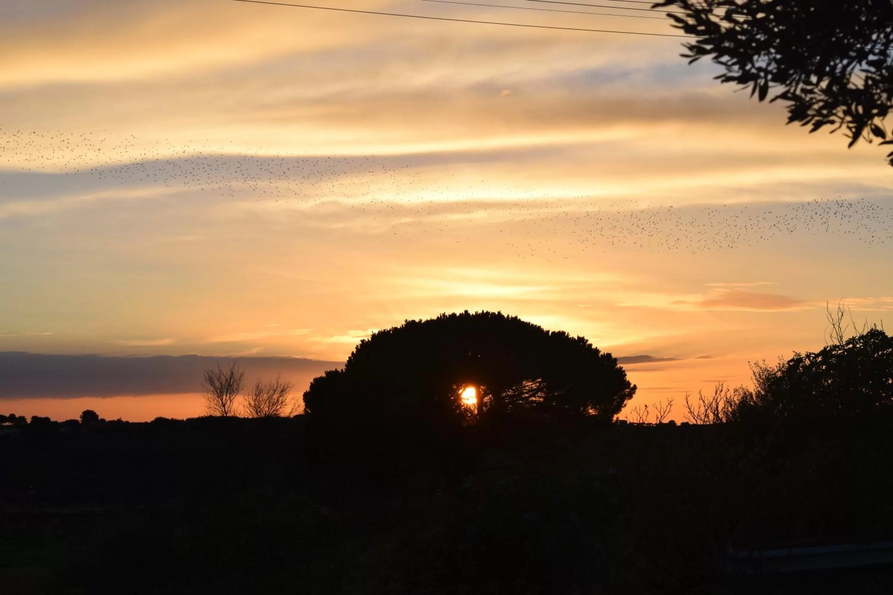 Property building in B&B Kolymbetra