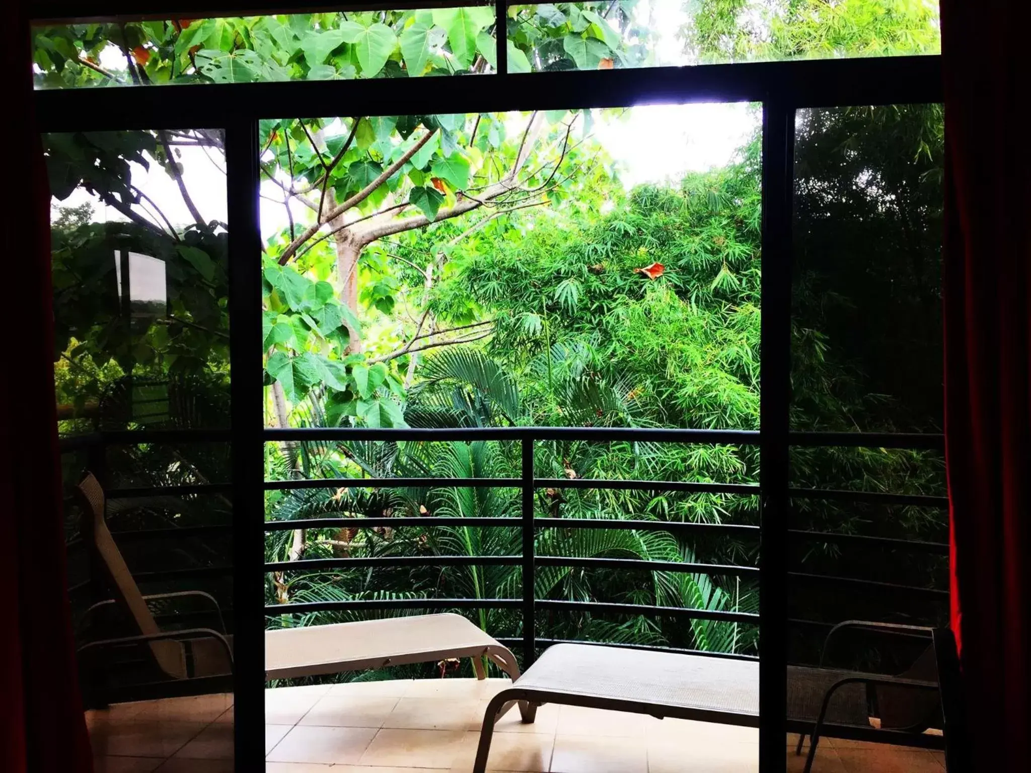 Garden, Balcony/Terrace in Pacifico Loft Hotel