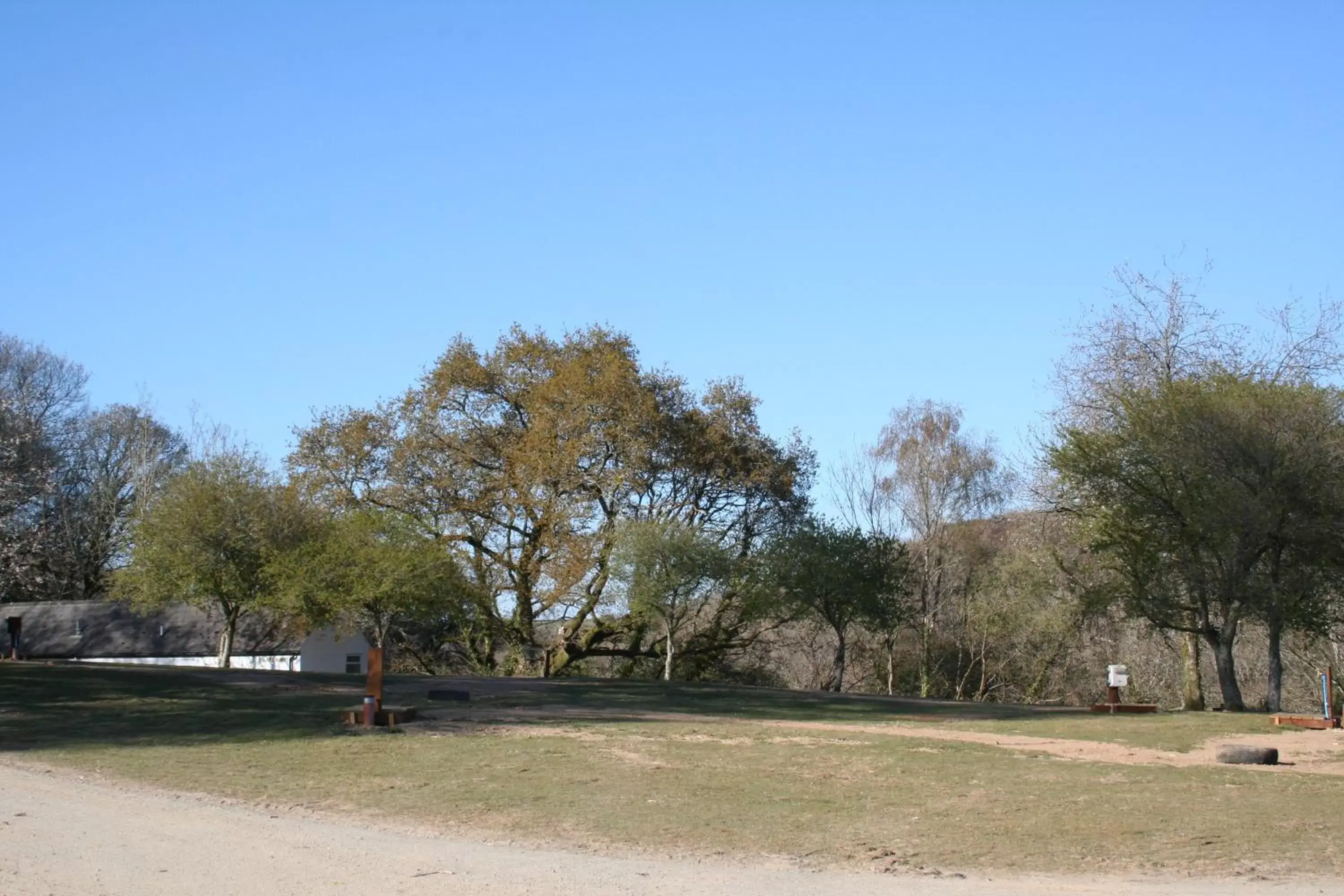 Garden in Great Trethew Manor Hotel & Restaurant