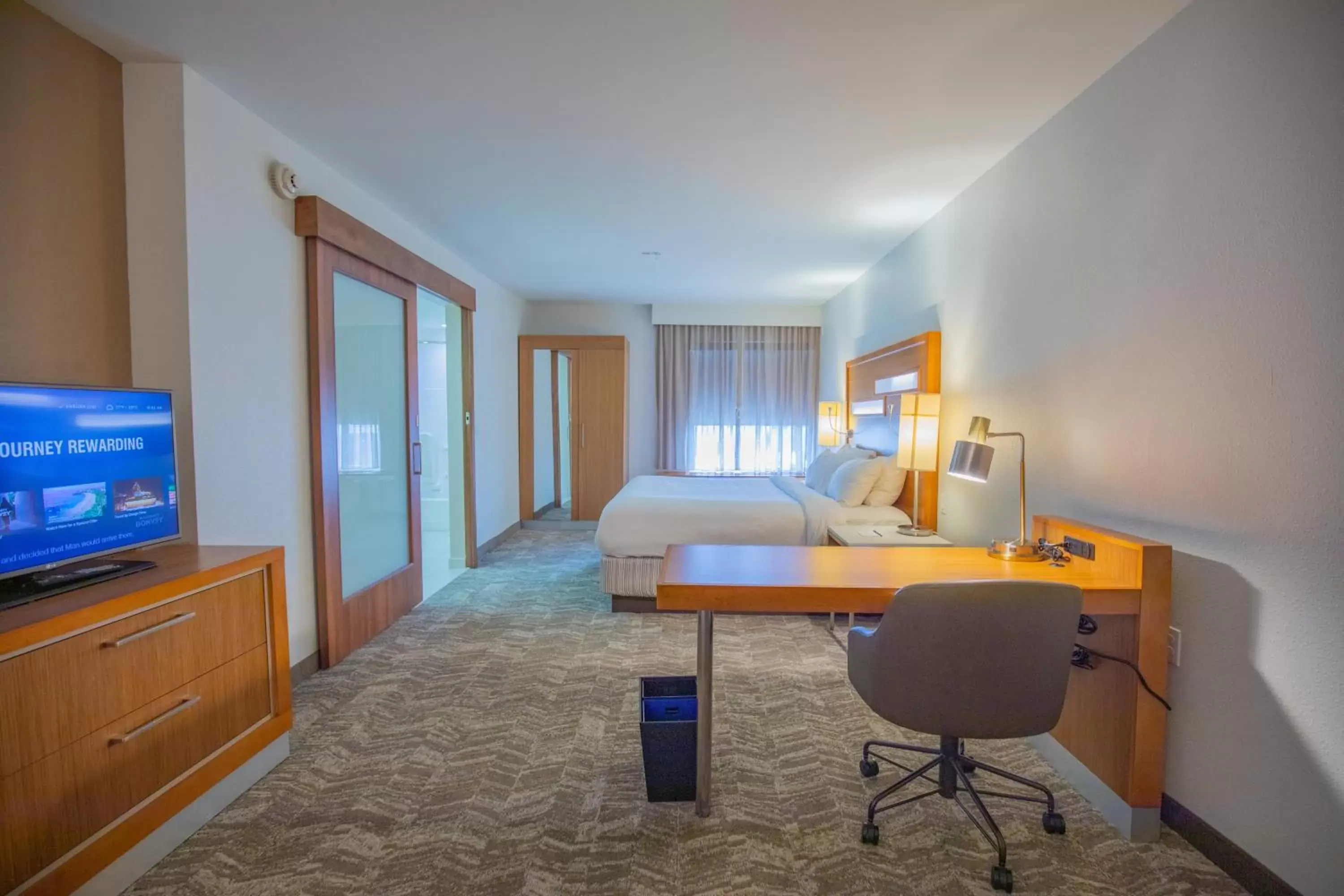 Bedroom, TV/Entertainment Center in SpringHill Suites by Marriott Baton Rouge Gonzales