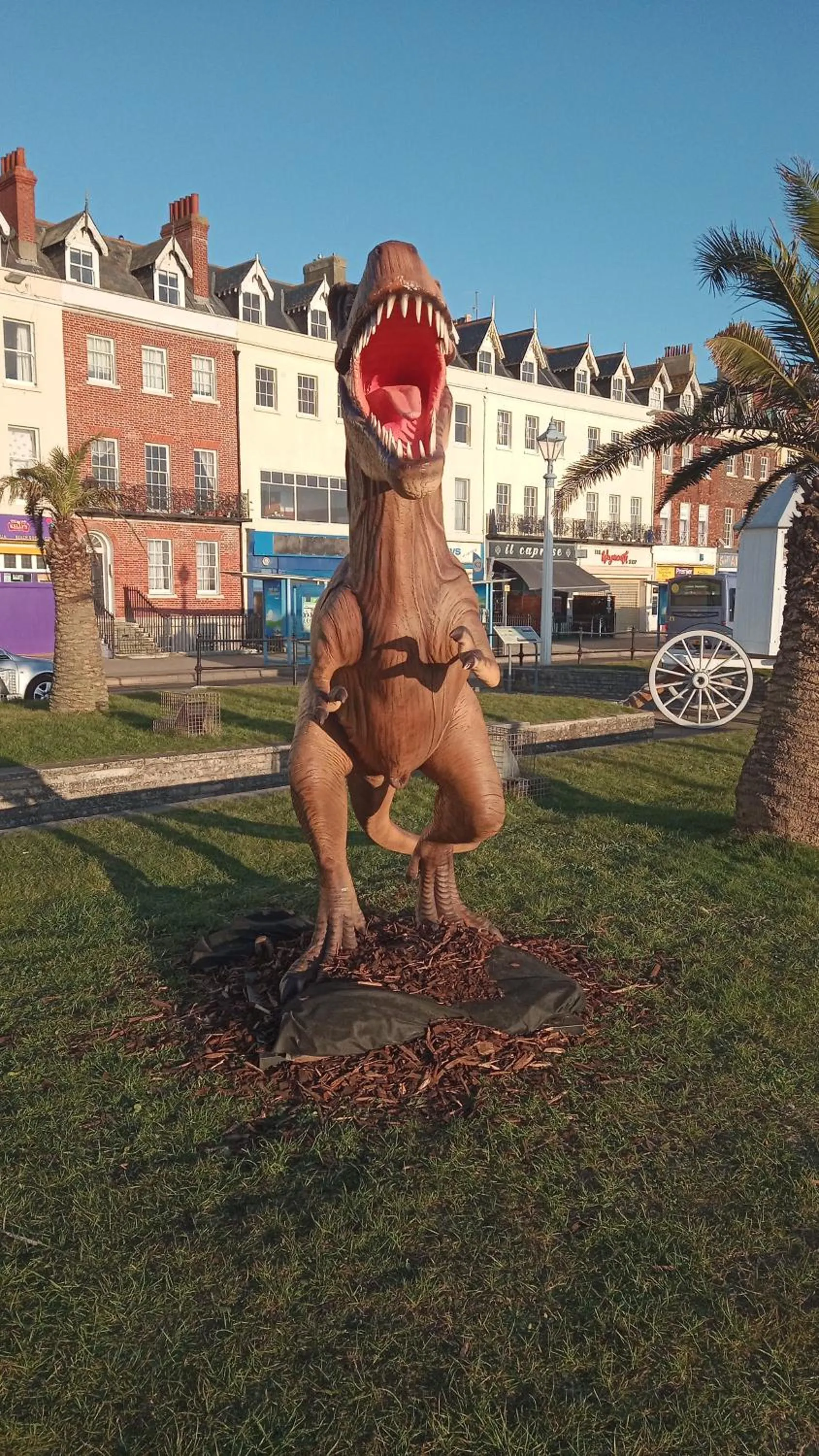 Shopping Area in The Wilton Weymouth