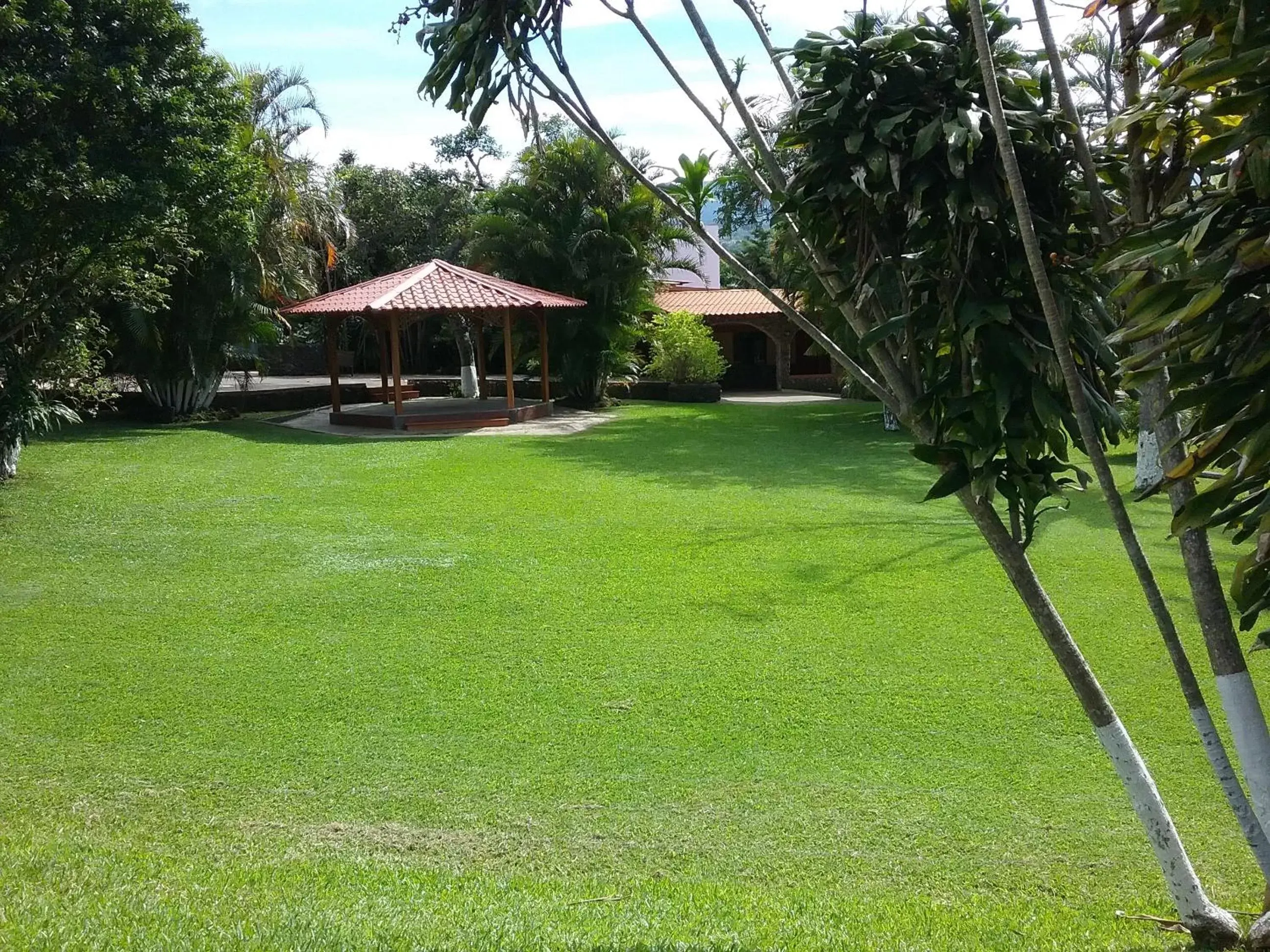 Garden in Hotel Cibeles Resort