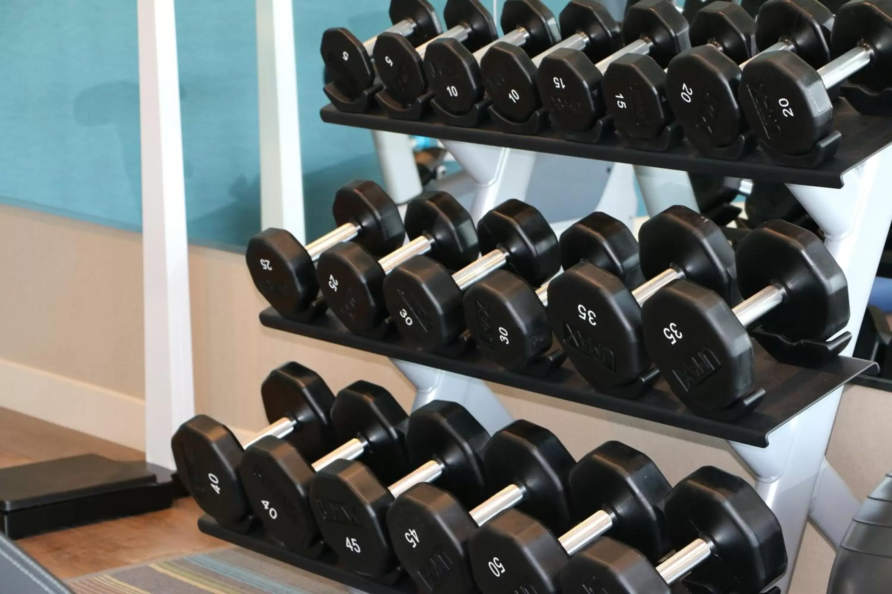 Fitness centre/facilities, Fitness Center/Facilities in Holiday Inn Express & Suites - Hendersonville SE - Flat Rock, an IHG Hotel