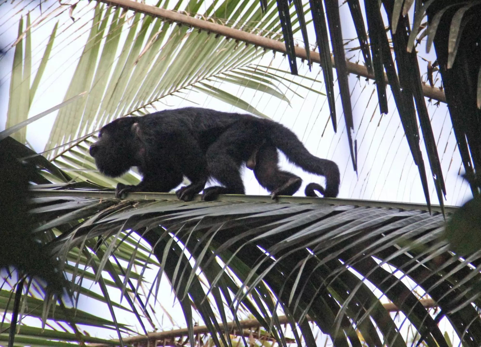 Natural landscape in Sun Creek Lodge