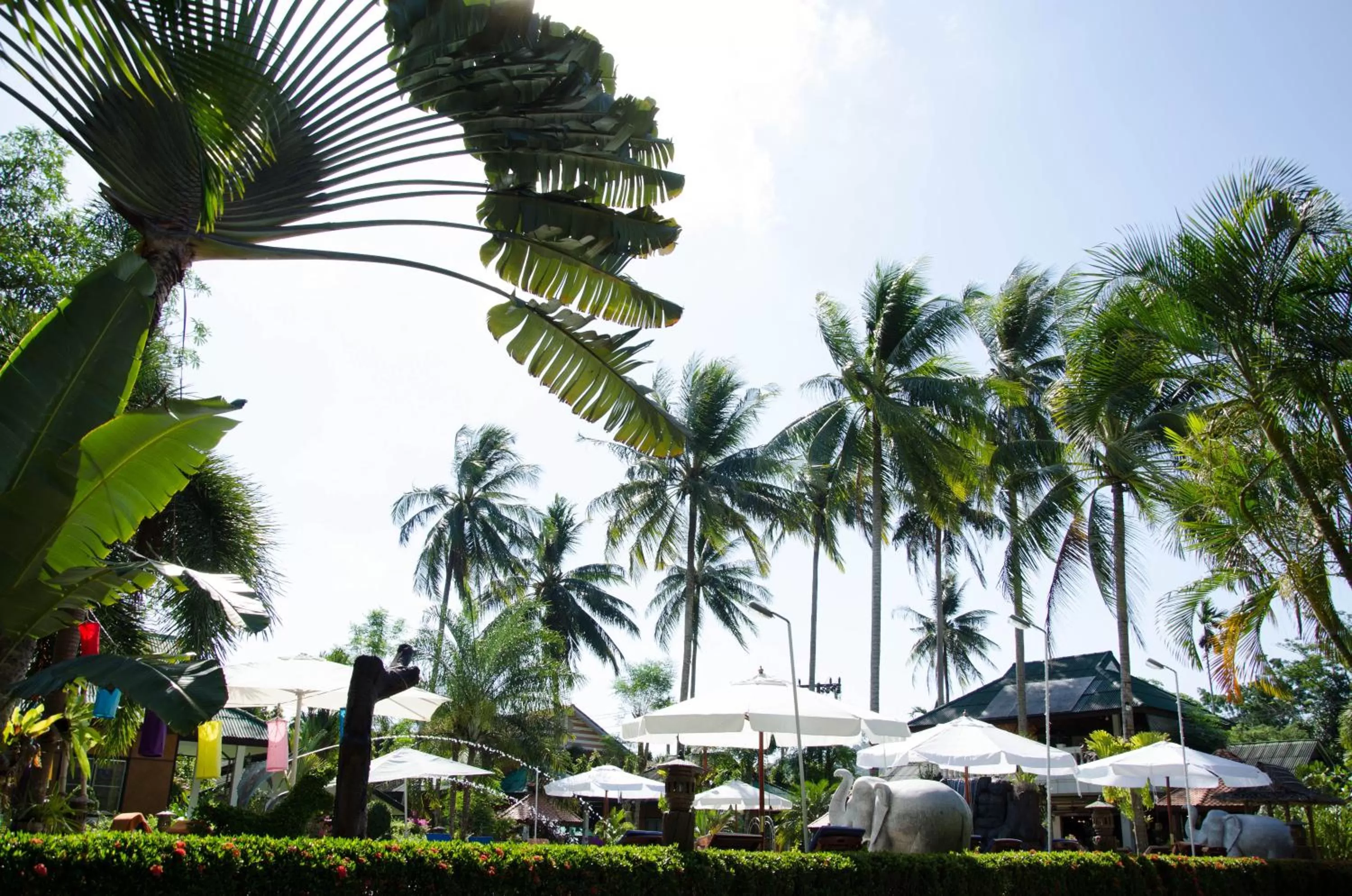 Property building in Jungle Village Bungalow