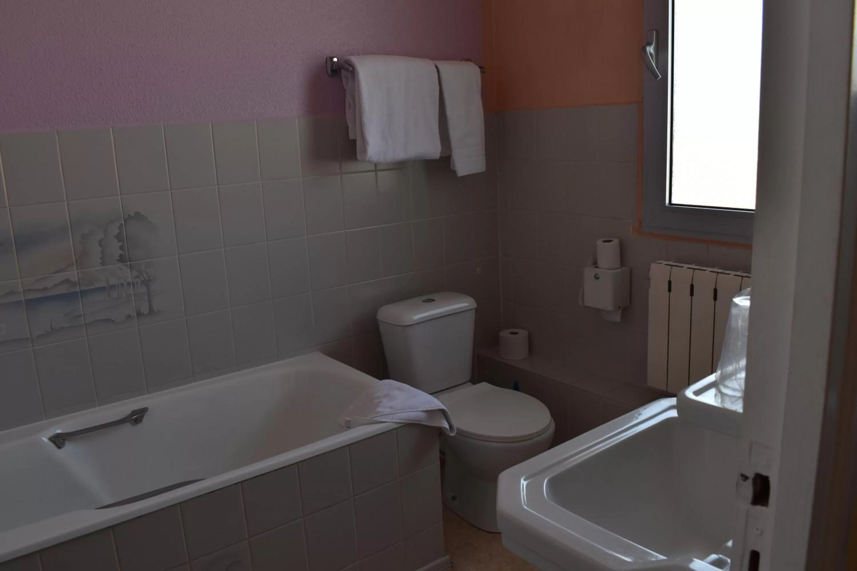 Shower in Hôtel Le Sauvage