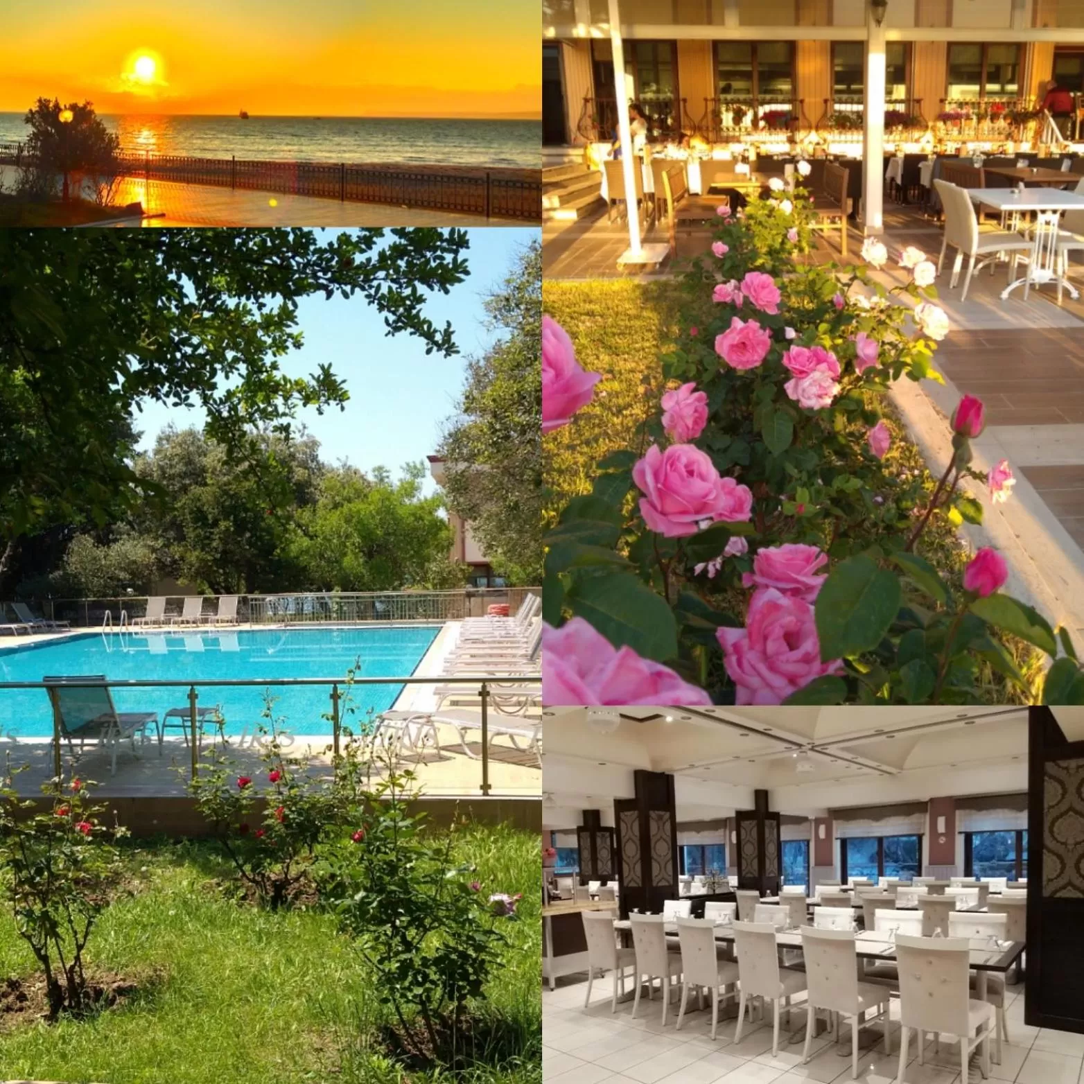 Summer in Iris Hotel & Spa
