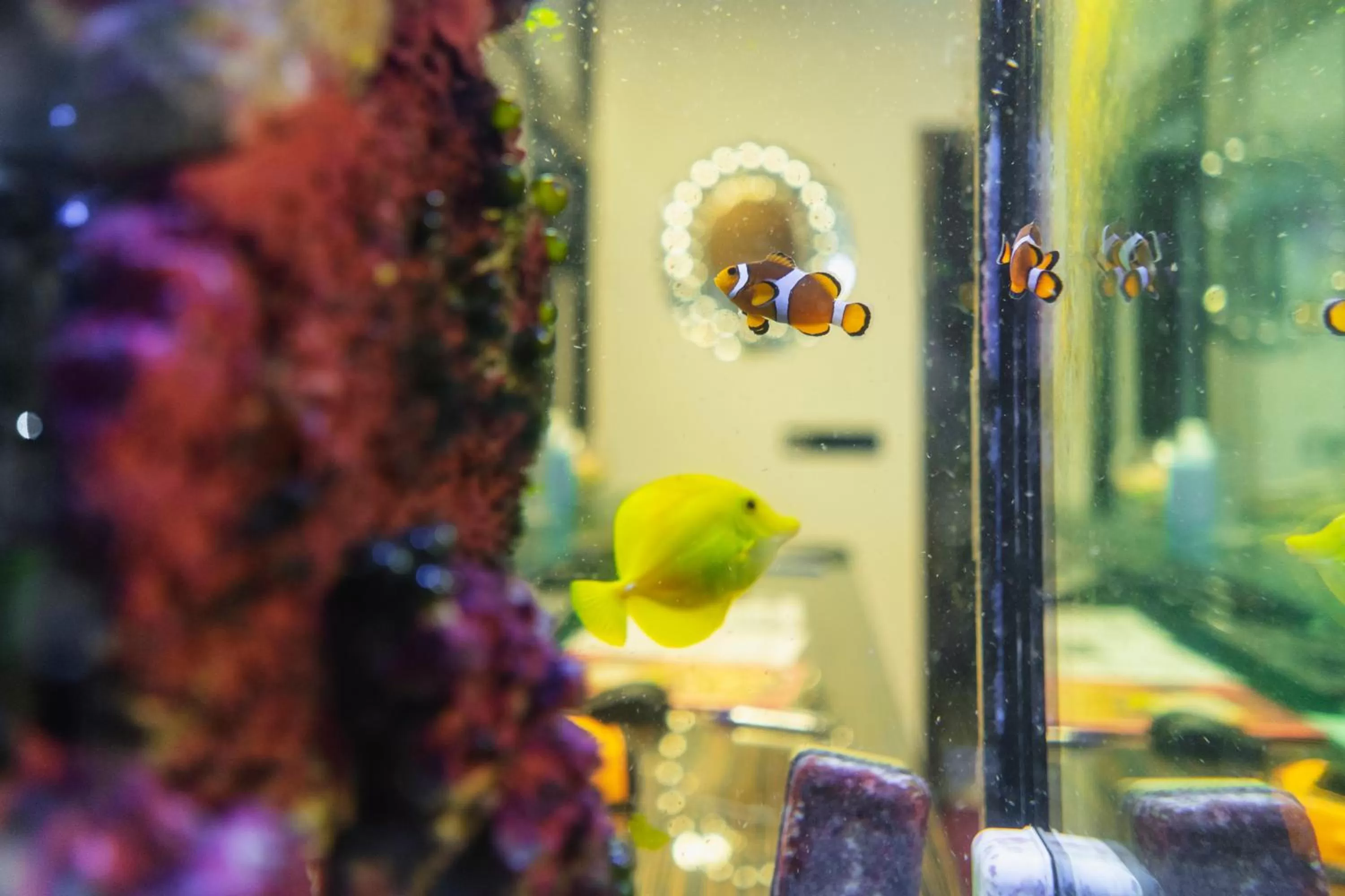 Lobby or reception in Hotel Astory Plzeň