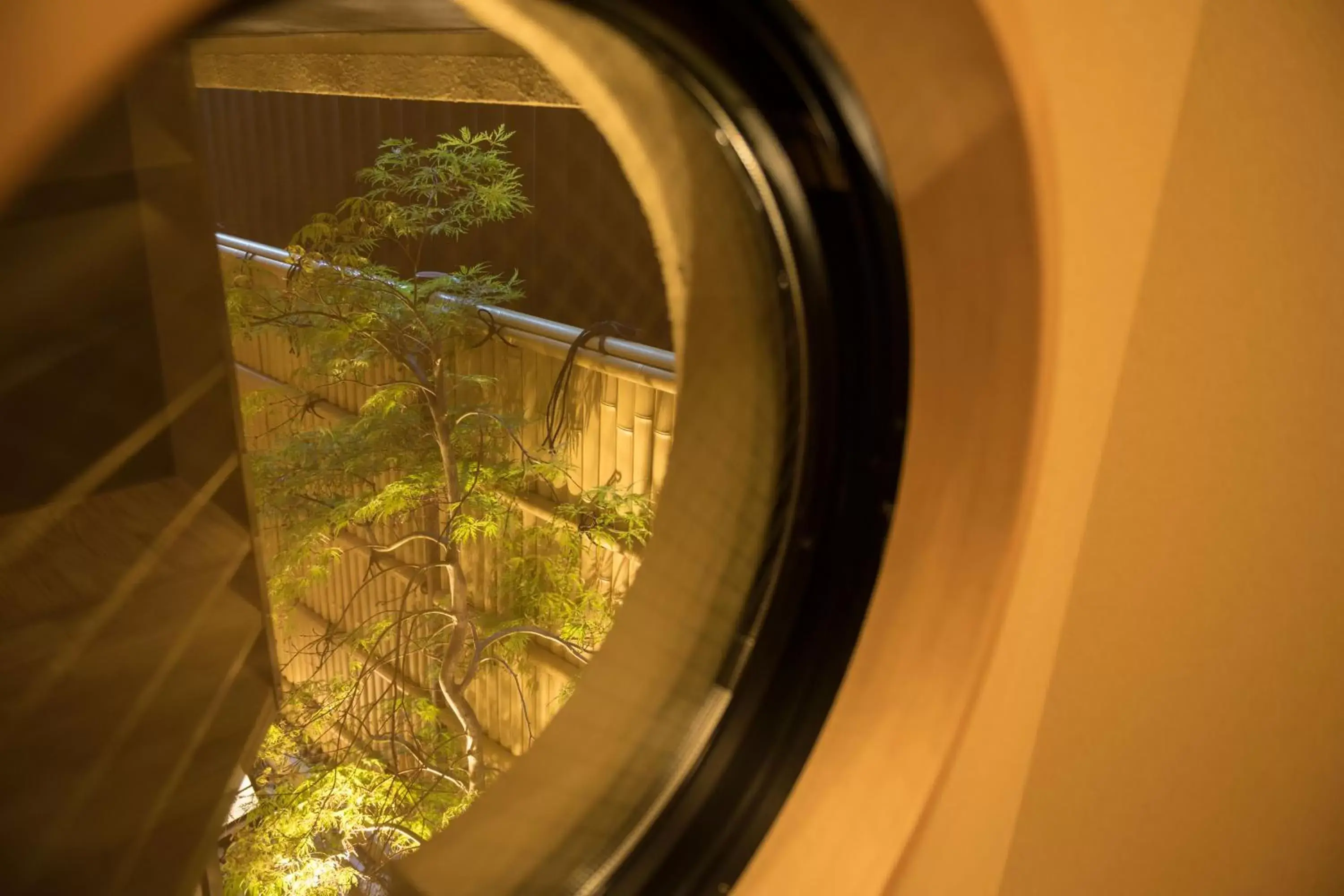 Garden view in HOTEL SHIKISAI KYOTO