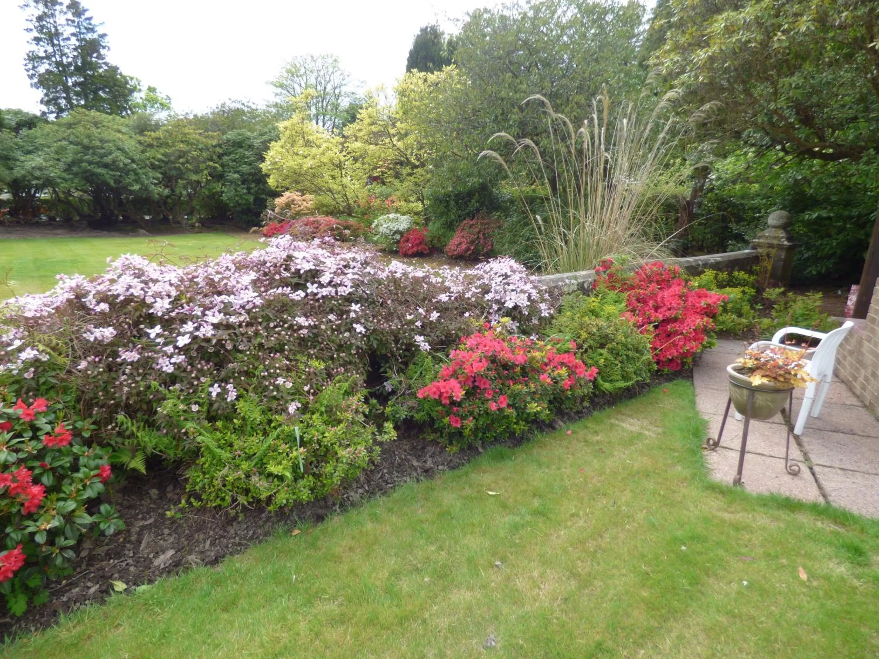Spring, Garden in Moorlands