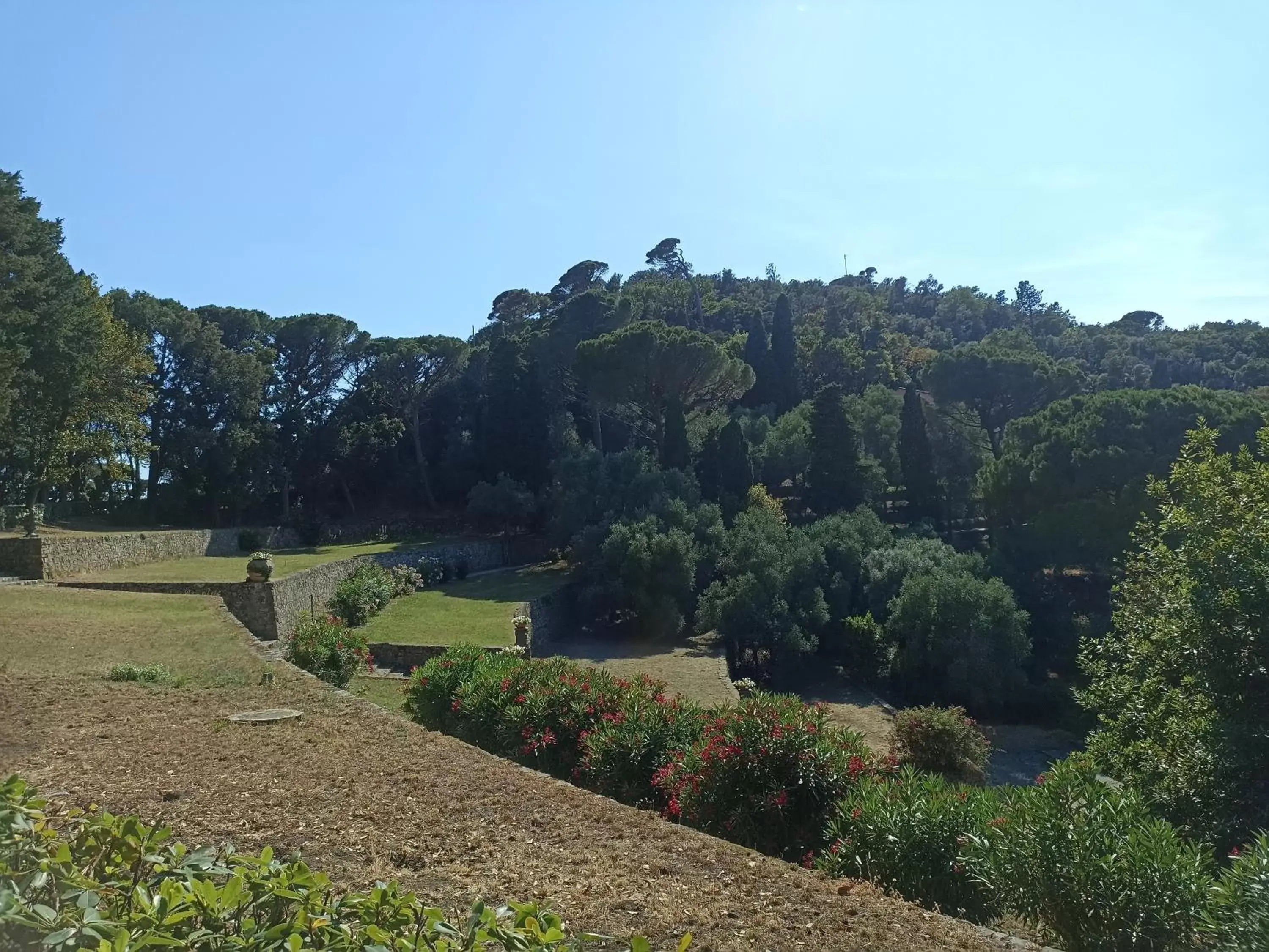 View (from property/room) in Grand Hotel Dei Castelli