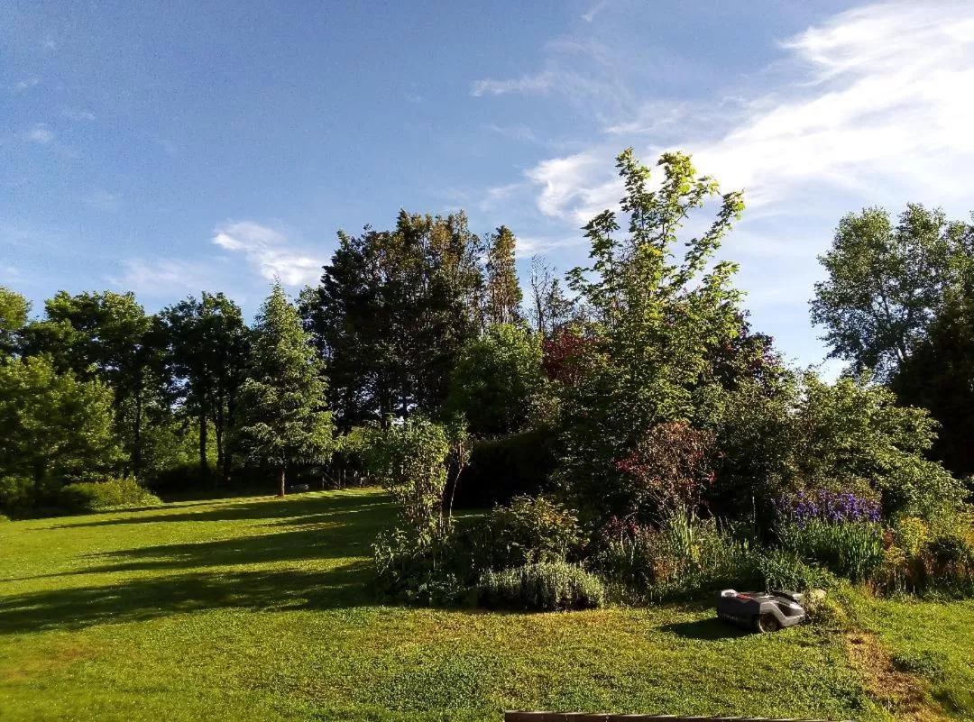 Garden in Chambre d'Hôtes La Bardinière