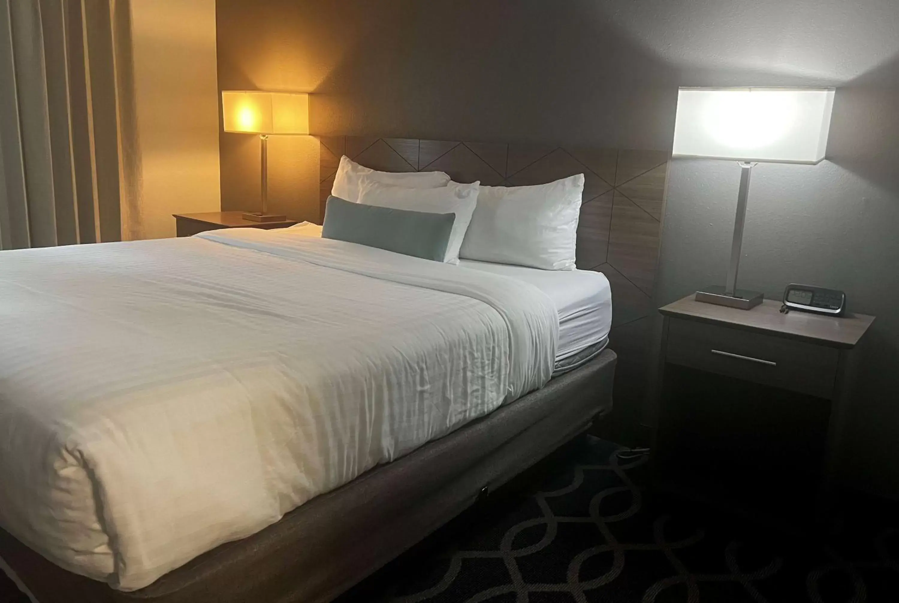 Bed in Wingate by Wyndham Humble/Houston Intercontinental Airport