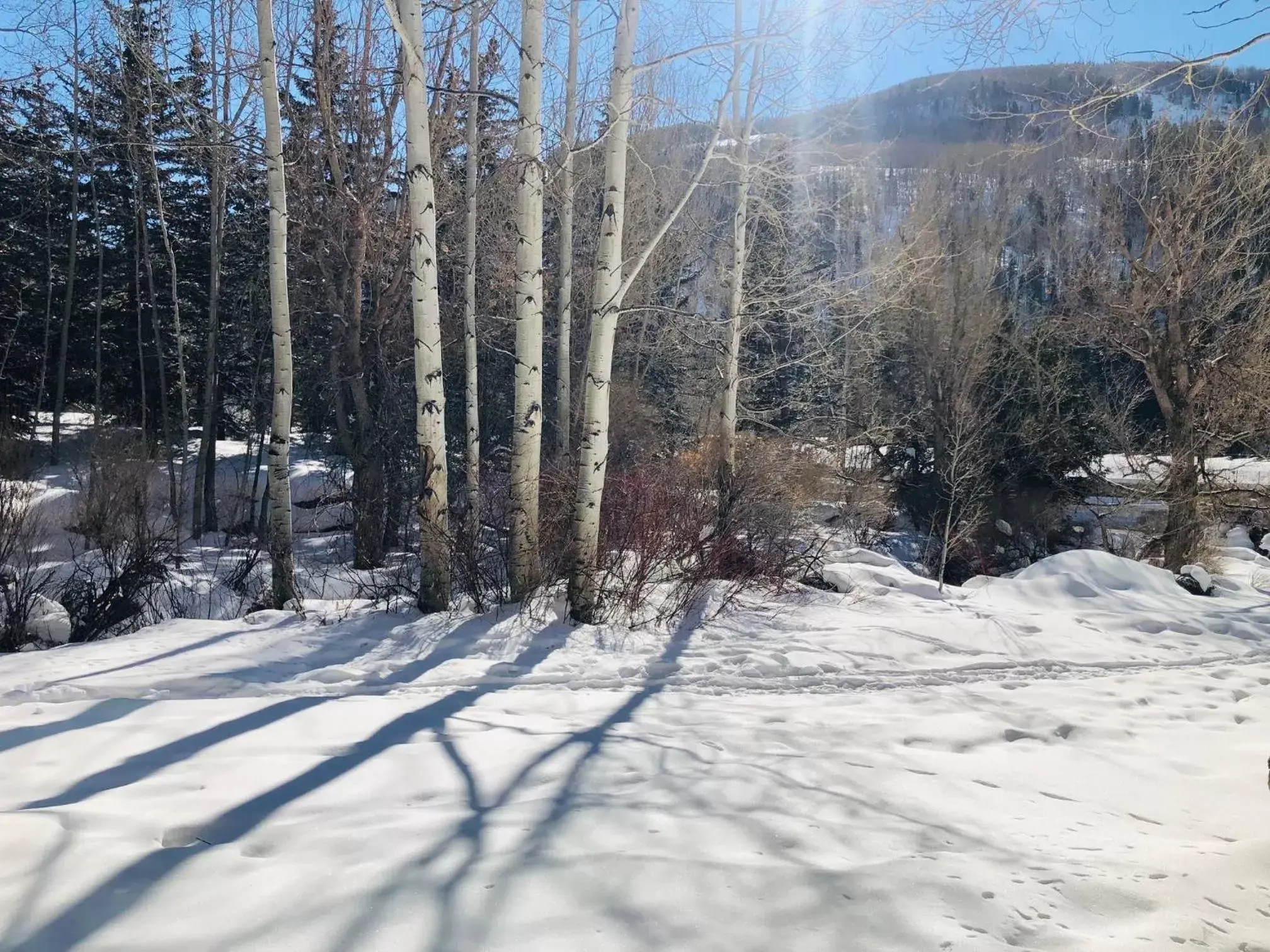 Inner courtyard view, Winter in Simba Run Vail Condominiums