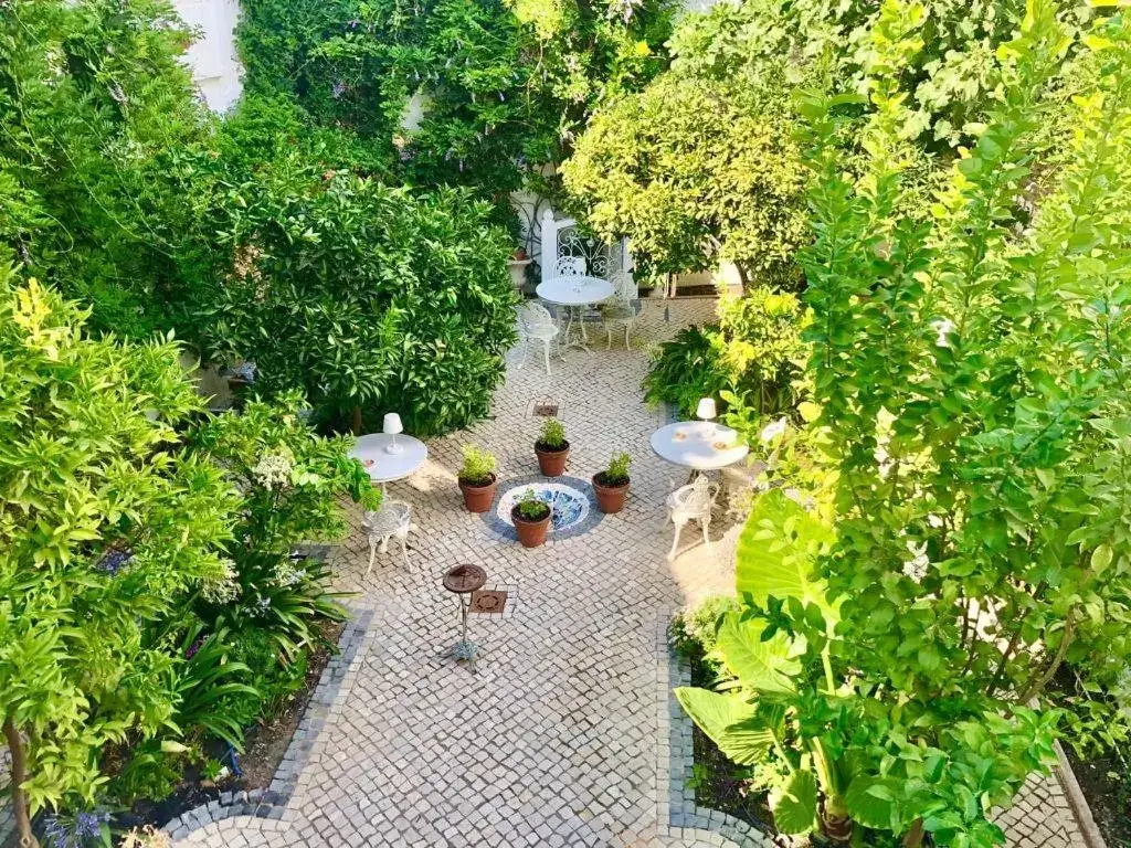 Garden in Palacete Encanto Maior