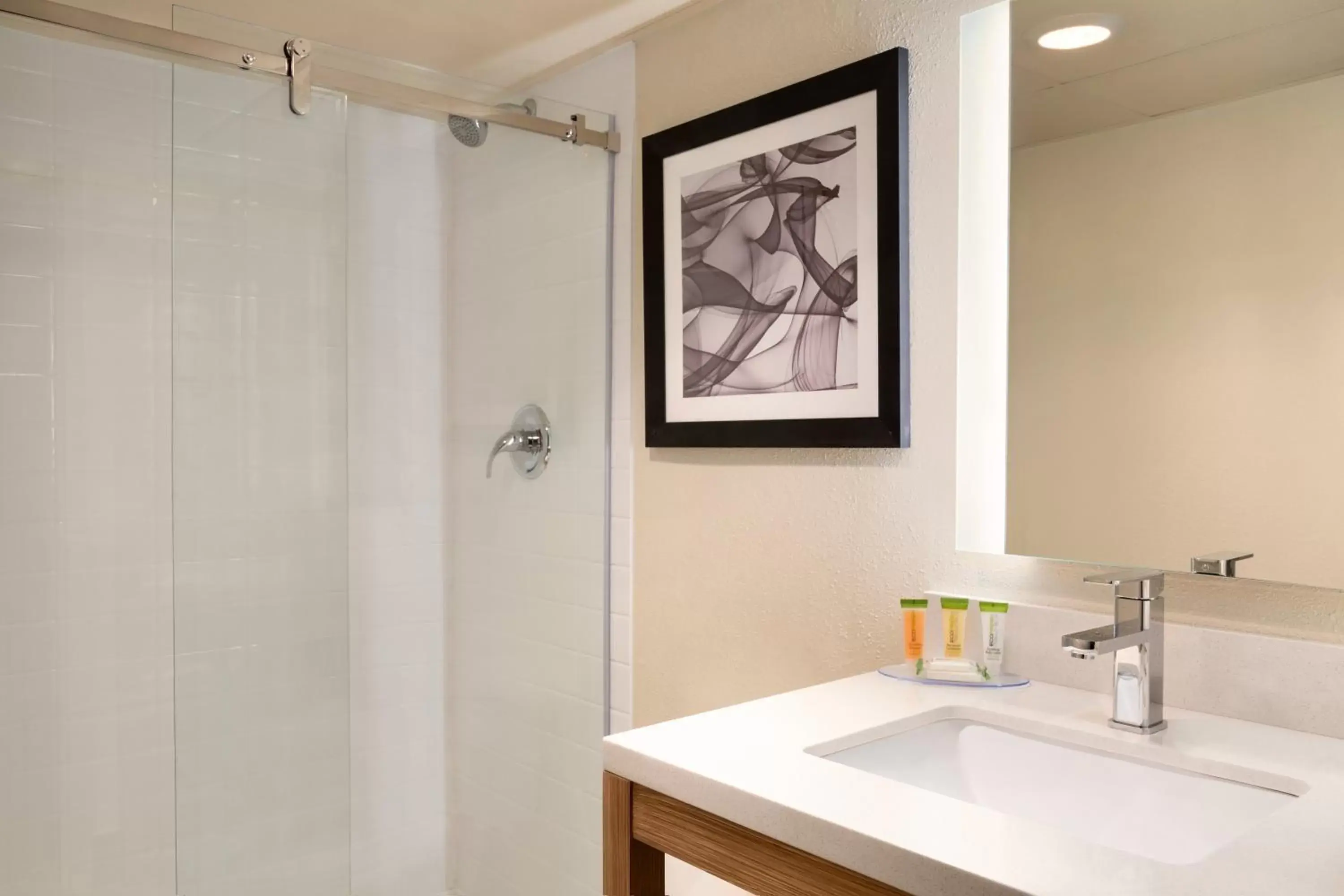 Shower, Bathroom in Ramada by Wyndham Clarion