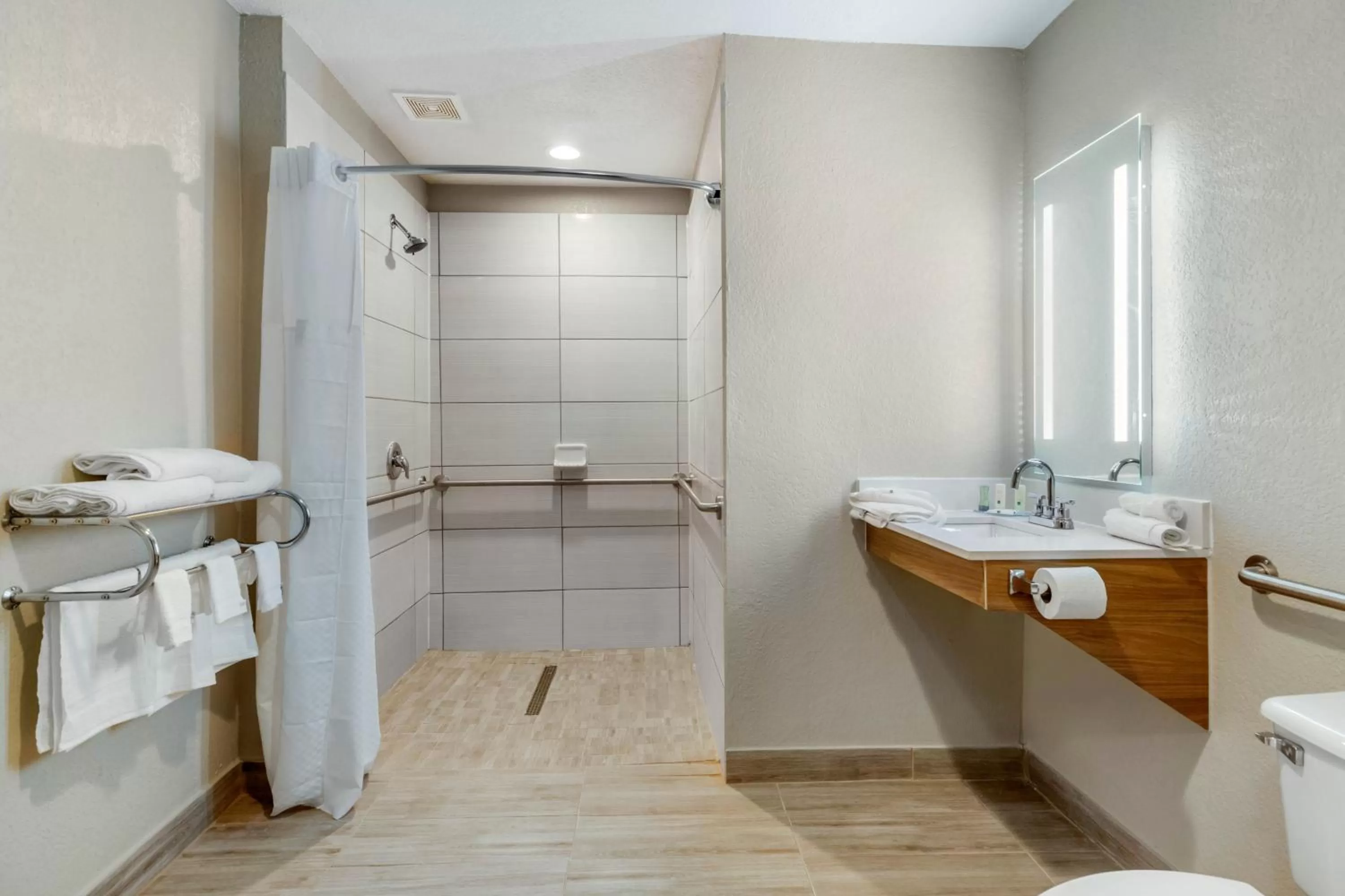 Bathroom in Quality Inn Downtown - near Market Square