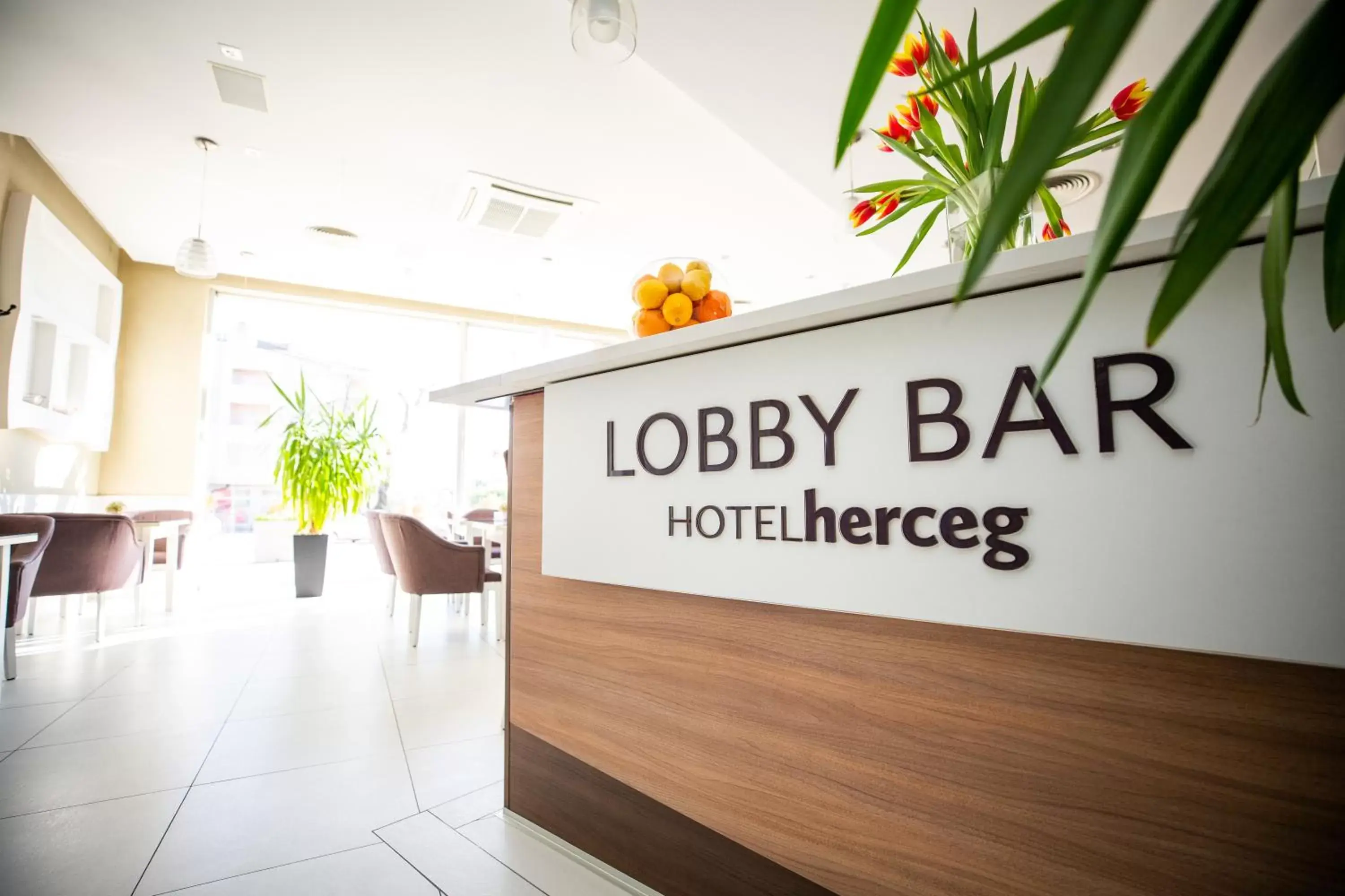 Lobby or reception in Hotel Herceg