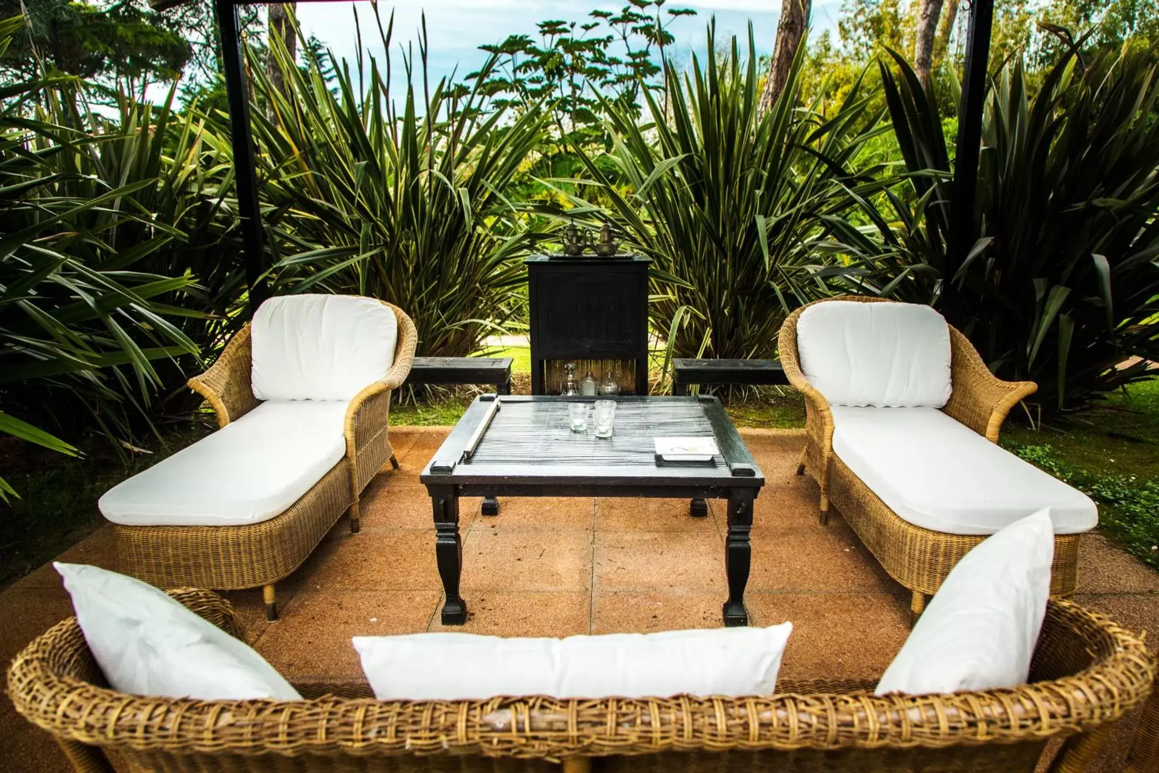 Patio, Seating Area in Casa Matilde