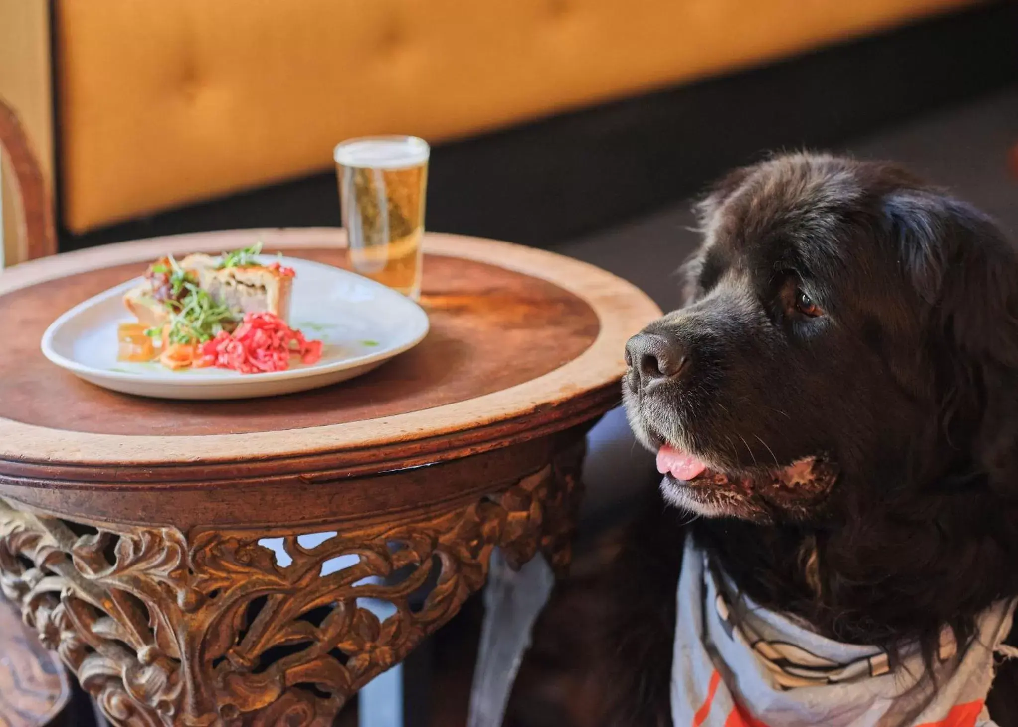 Lounge or bar, Pets in The Old Ferry Inn