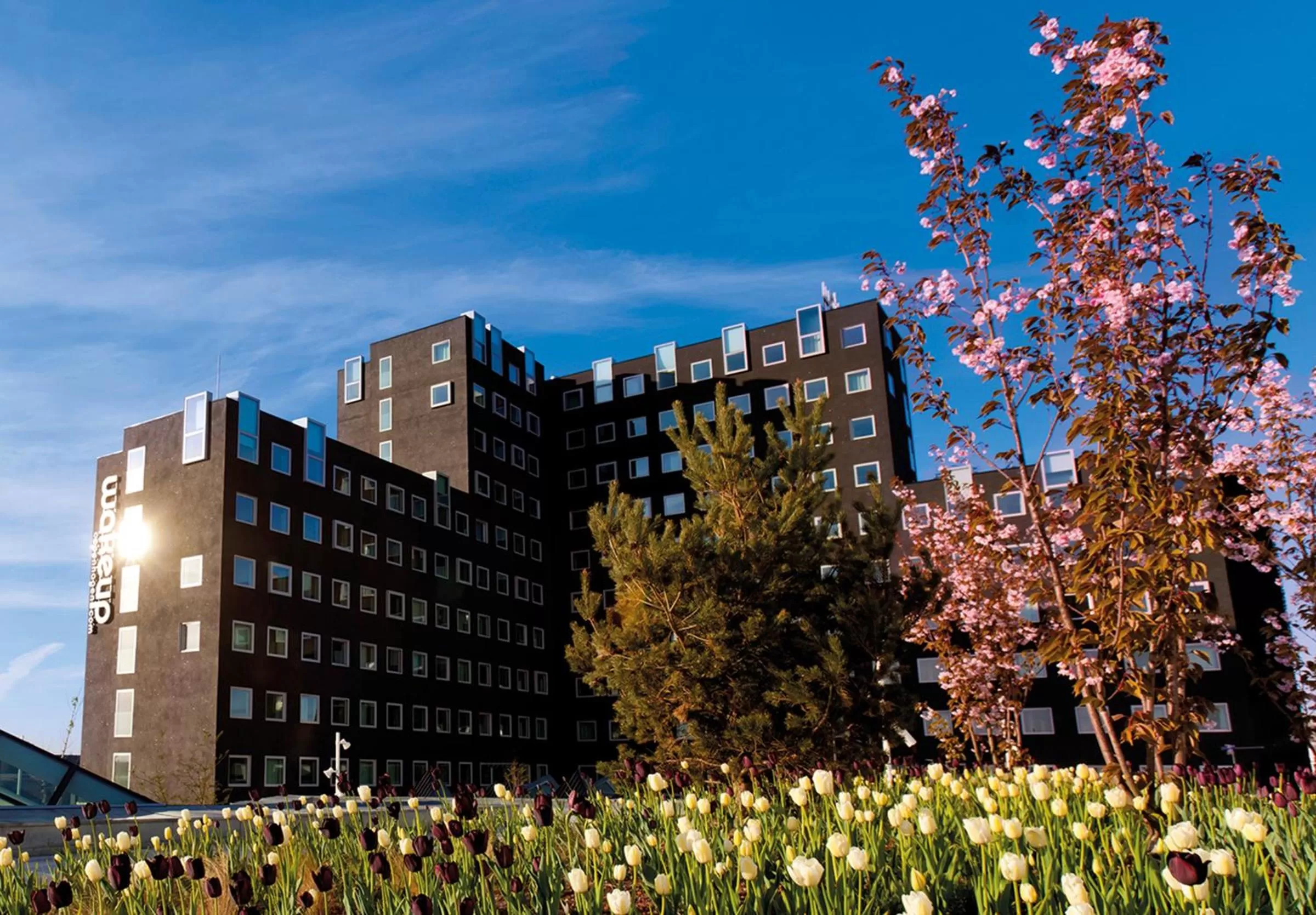 Property building in Wakeup Copenhagen - Carsten Niebuhrs Gade