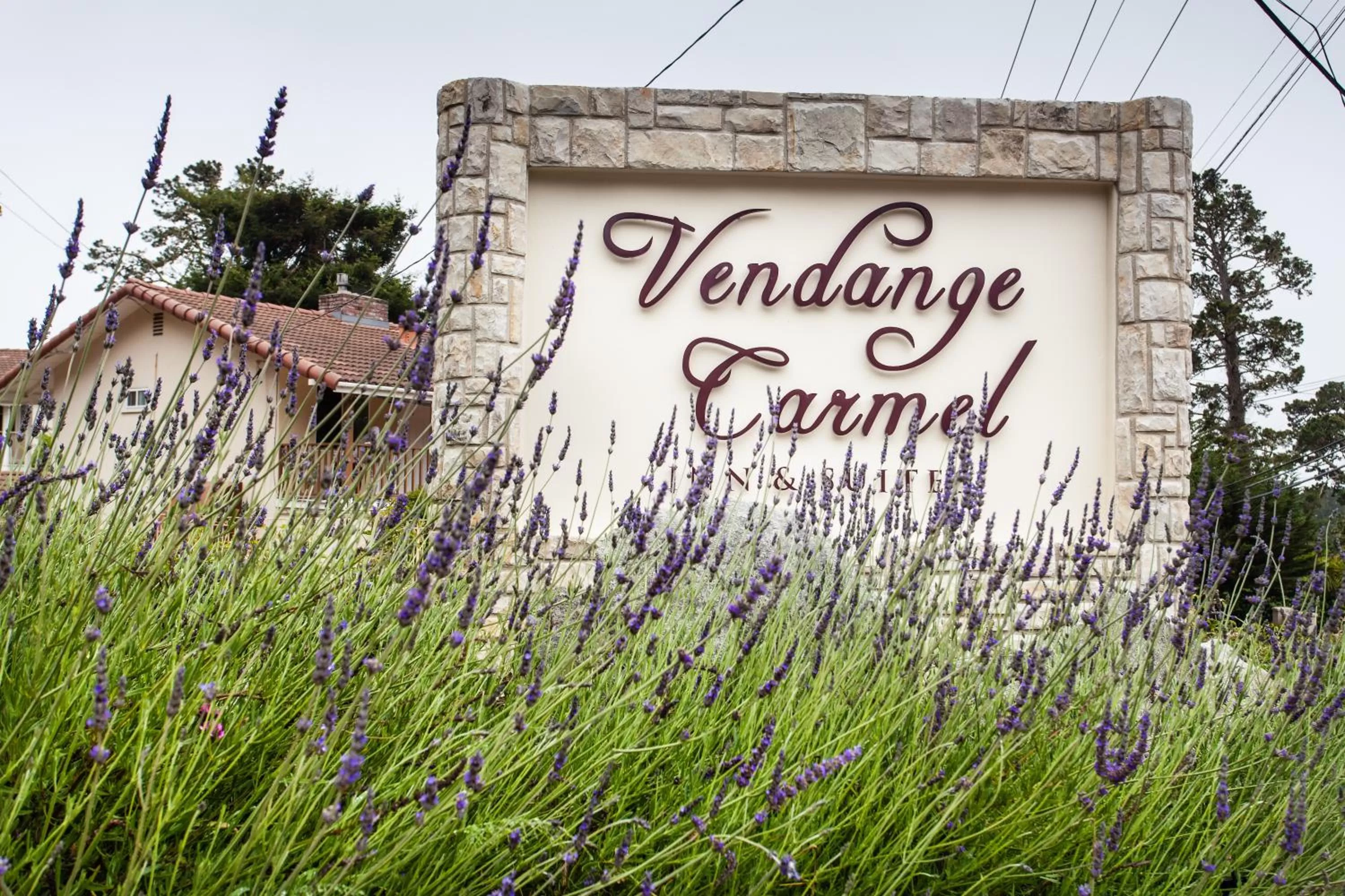 Facade/entrance in The Vendange Carmel Inn & Suites