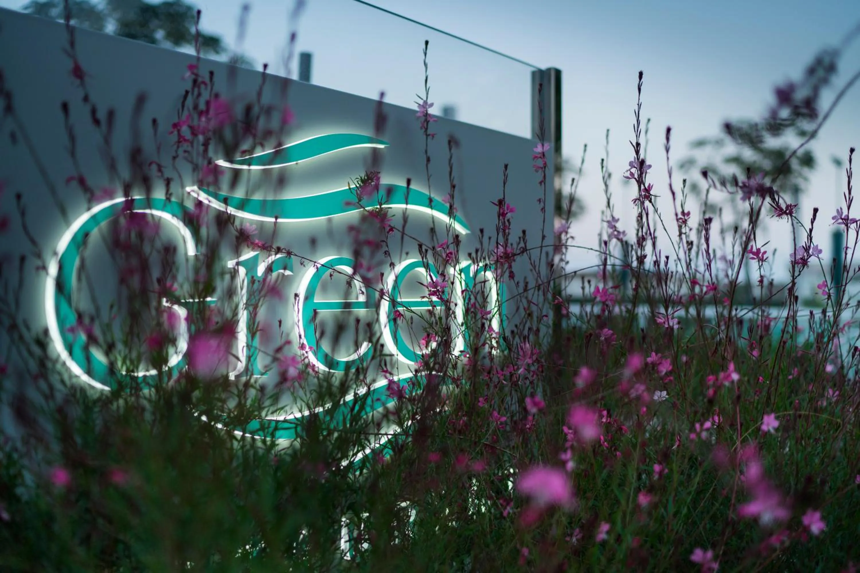 Food close-up in Atlantic Hotel & SPA