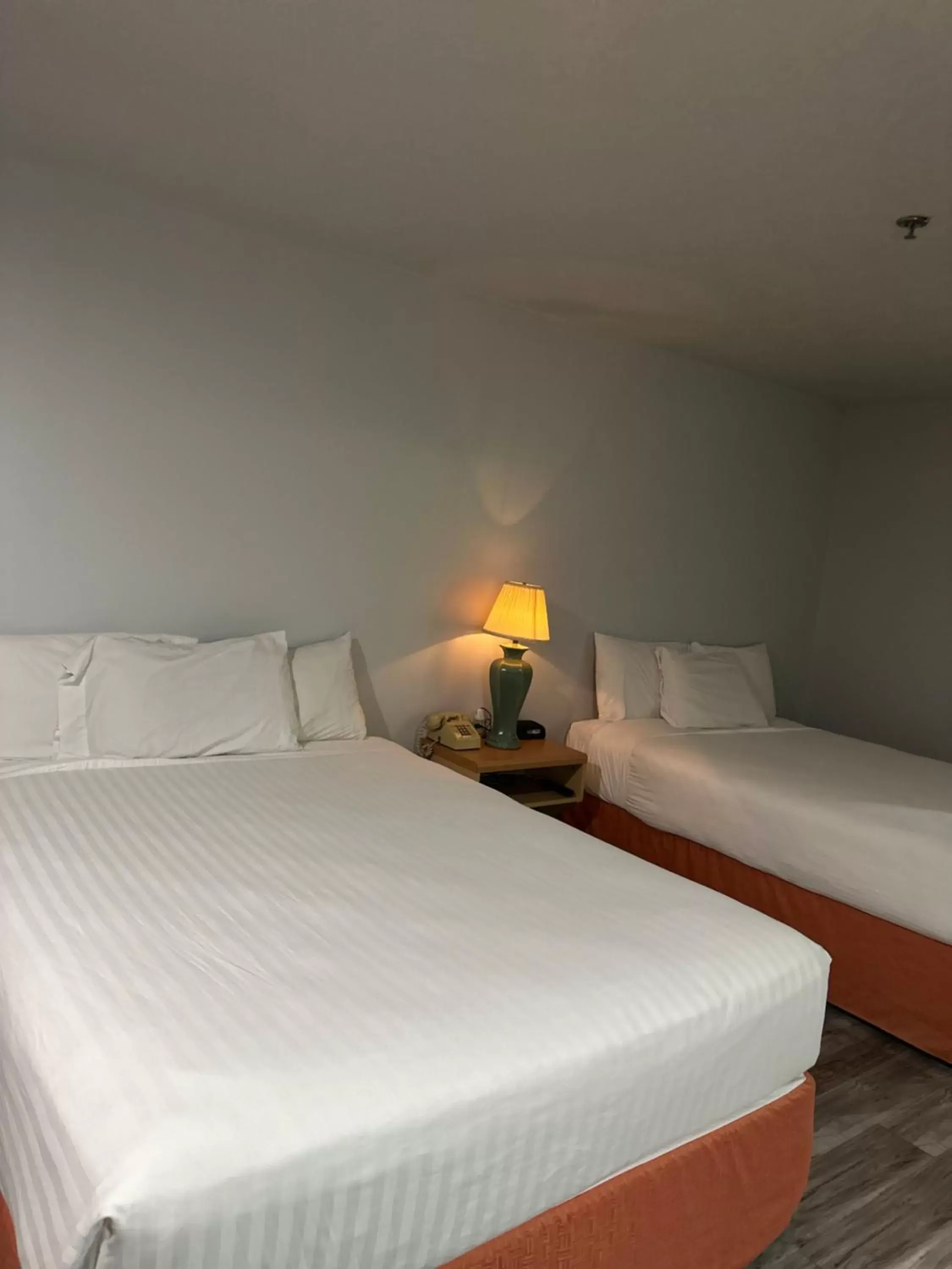Bed in Microtel Inn & Suites by Wyndham Gallup